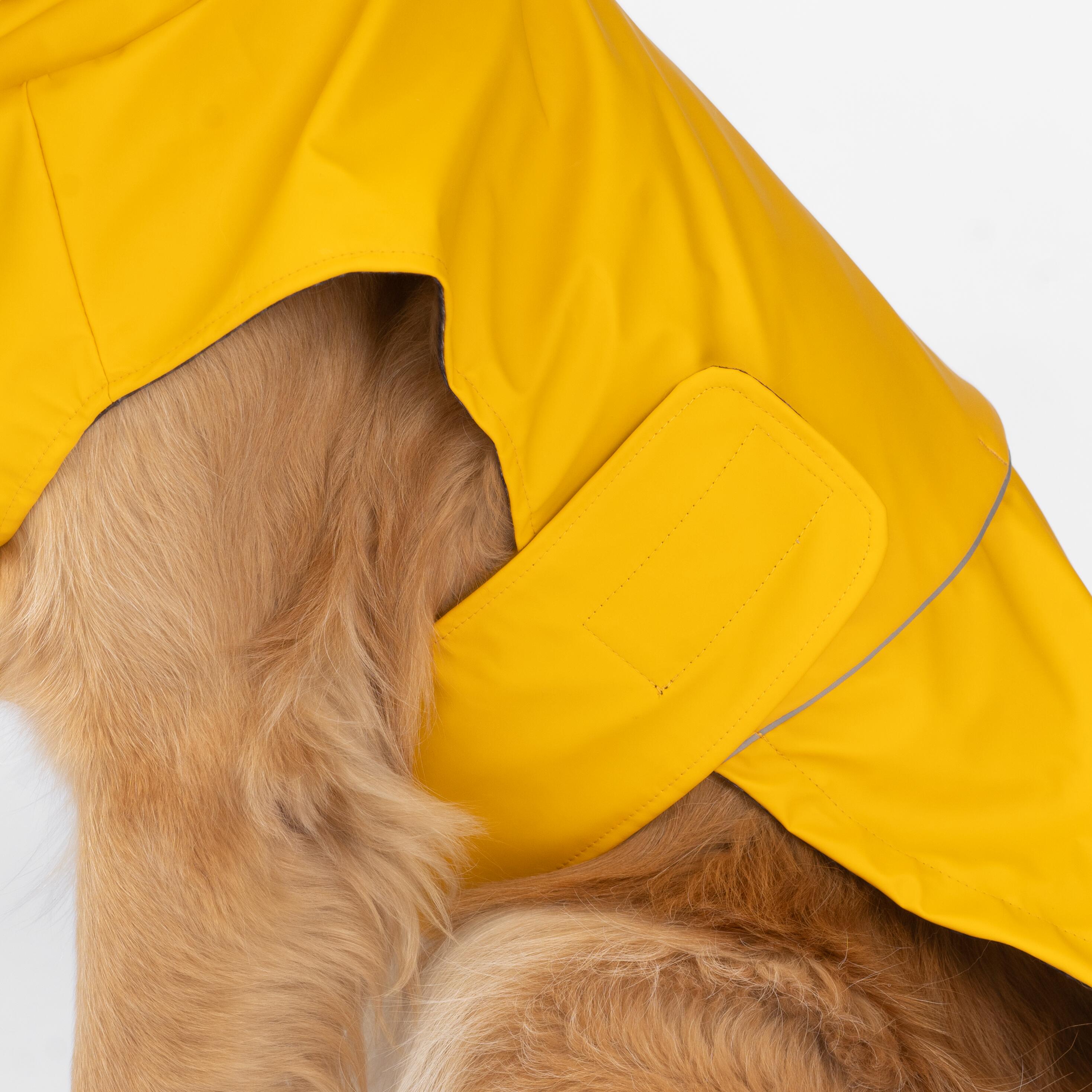 Aden 2.0 Dog Raincoat Yellow  Stylish, Waterproof, Adjustable, with Reflective Piping & Sun Alert Patch