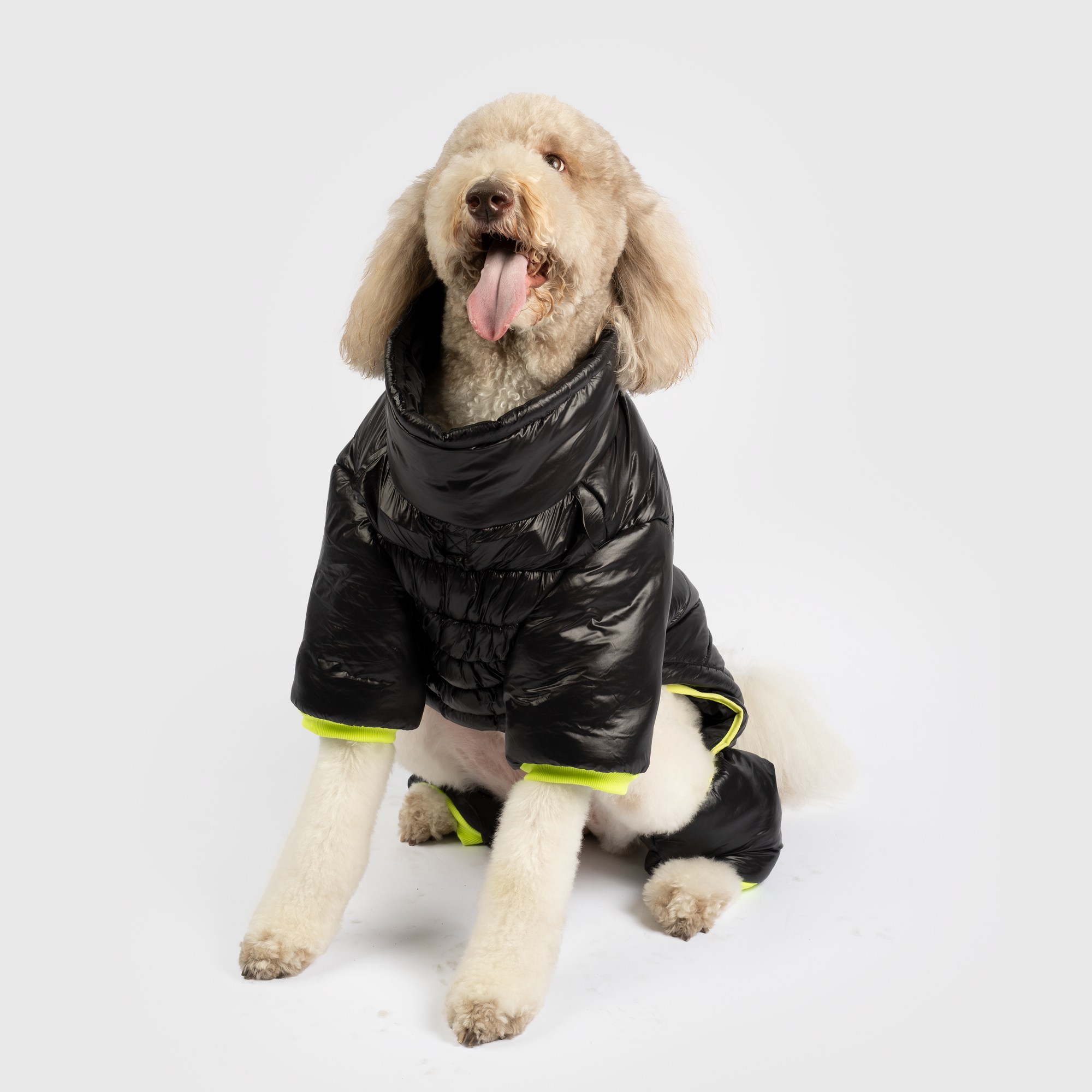 Whistler Full Body Dog Snowsuit - Black | Waterproof Winter Protection with Removable Pants