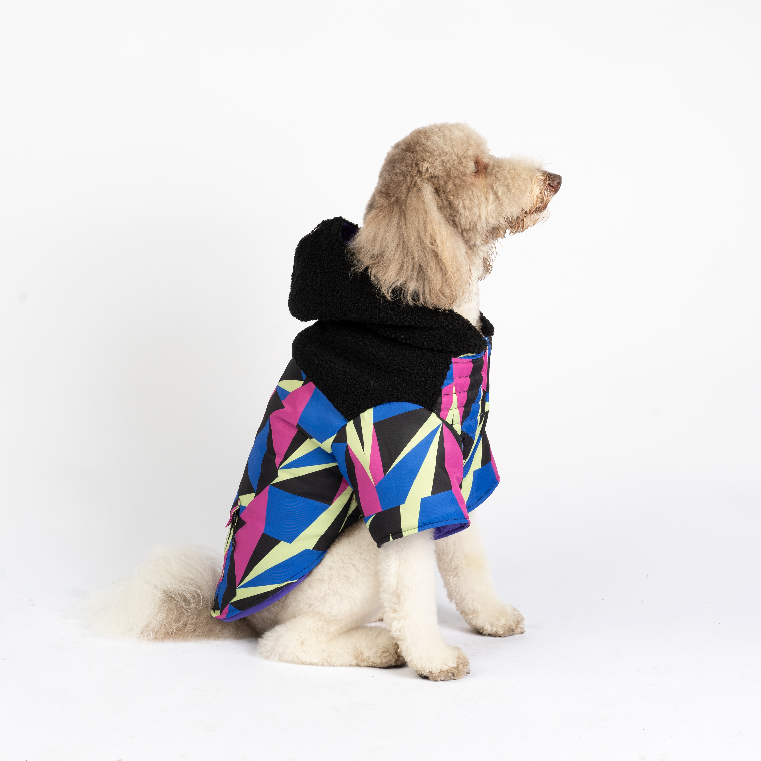 Ingo Dog Jacket  Water-Resistant Winter Coat with Poop Bag Dispenser & Sherpa Lining