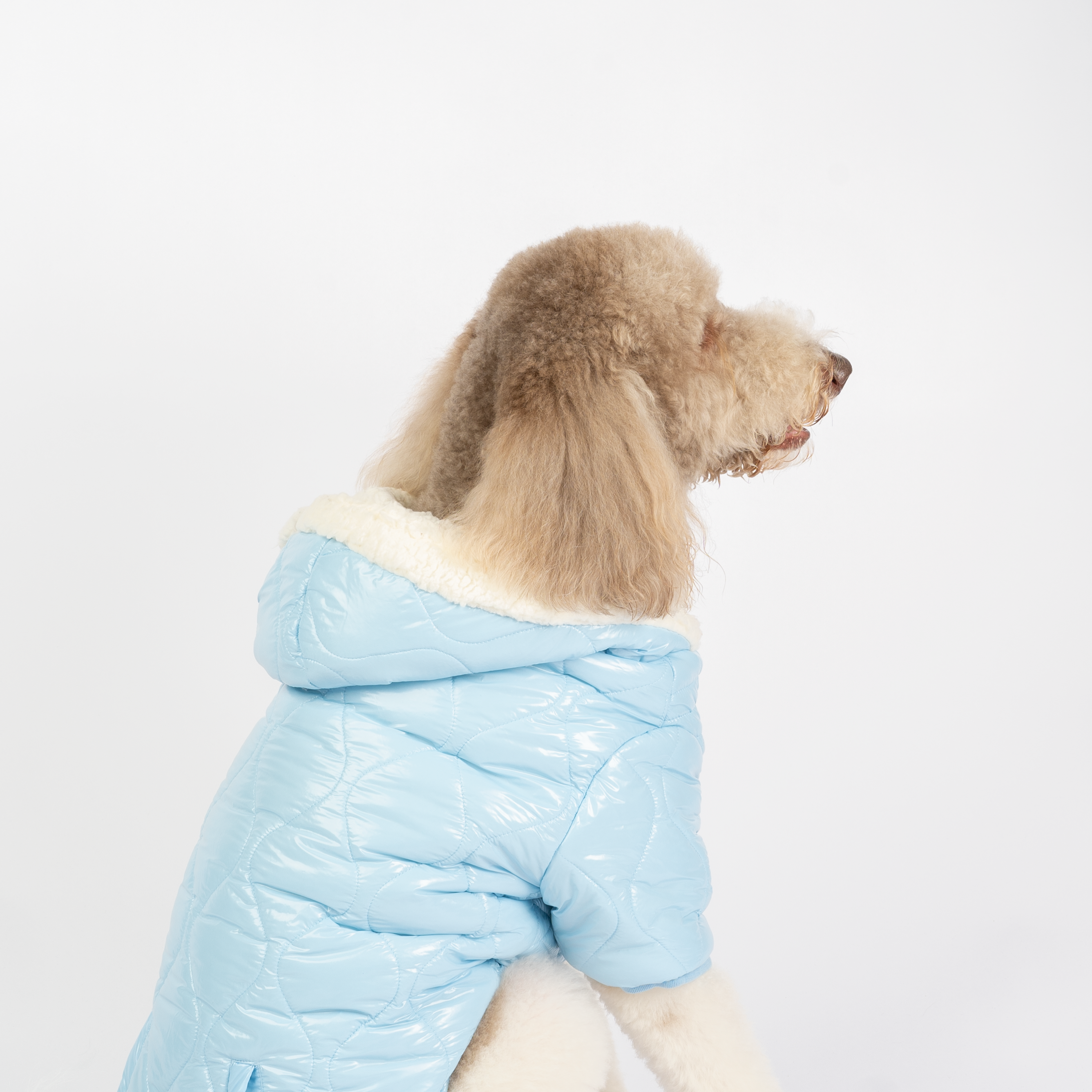 Aspen Dog Jacket  Lightweight Quilted Puffer with Sherpa Lining & Poop Bag Dispenser