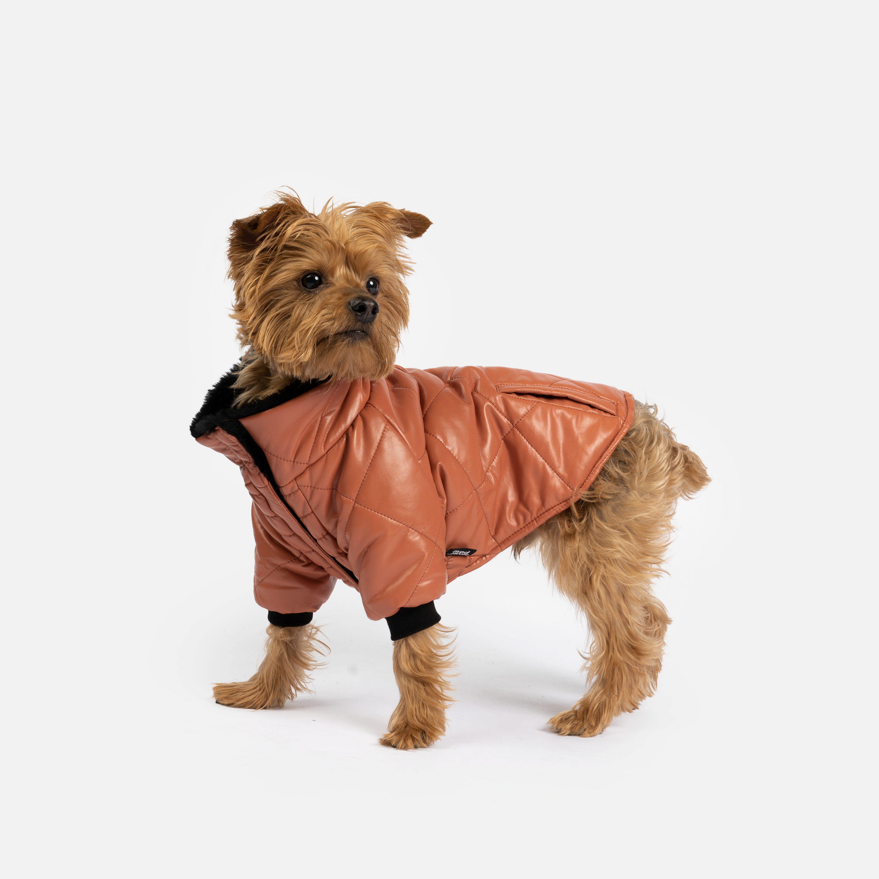 Phoenix Dog Jacket - Terracotta | Quilted Vegan Leather Coat with Faux Fur Lining