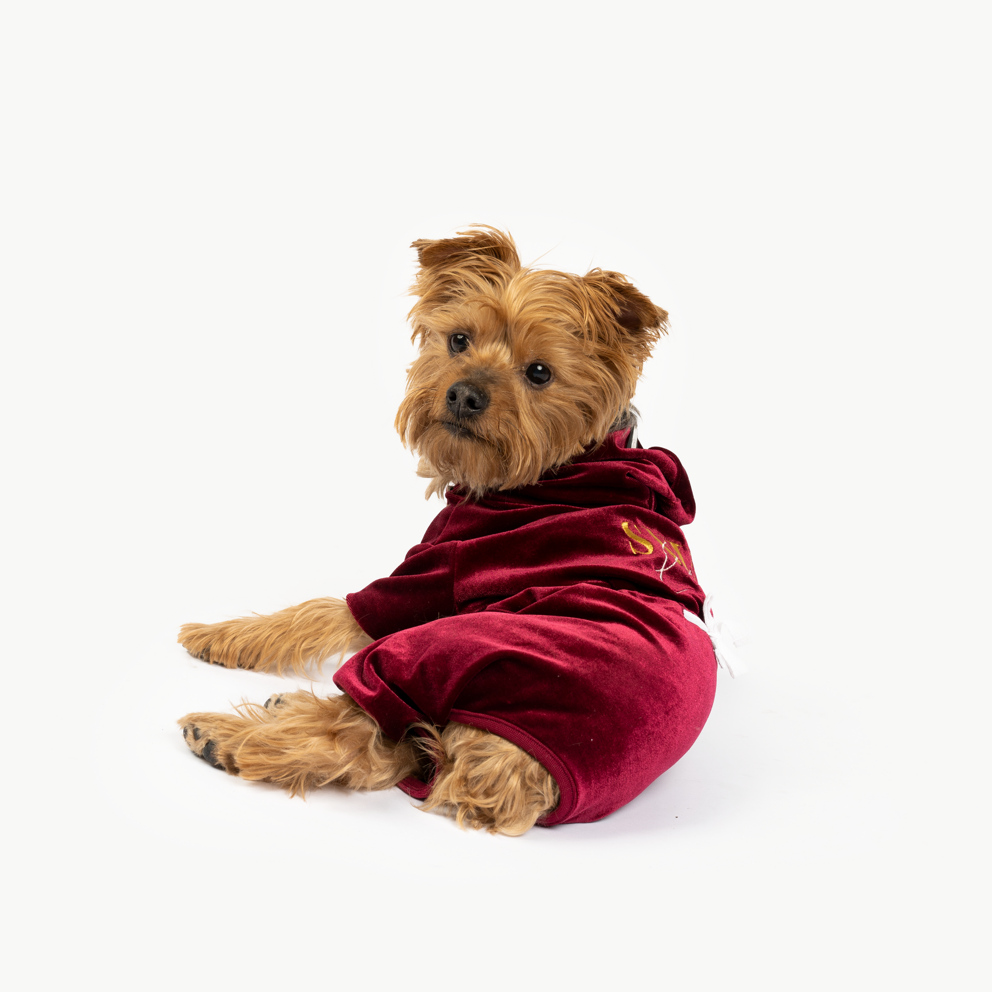 Coco Velour Dog Pajamas  Luxuriously Soft & Cozy PJs in Wine