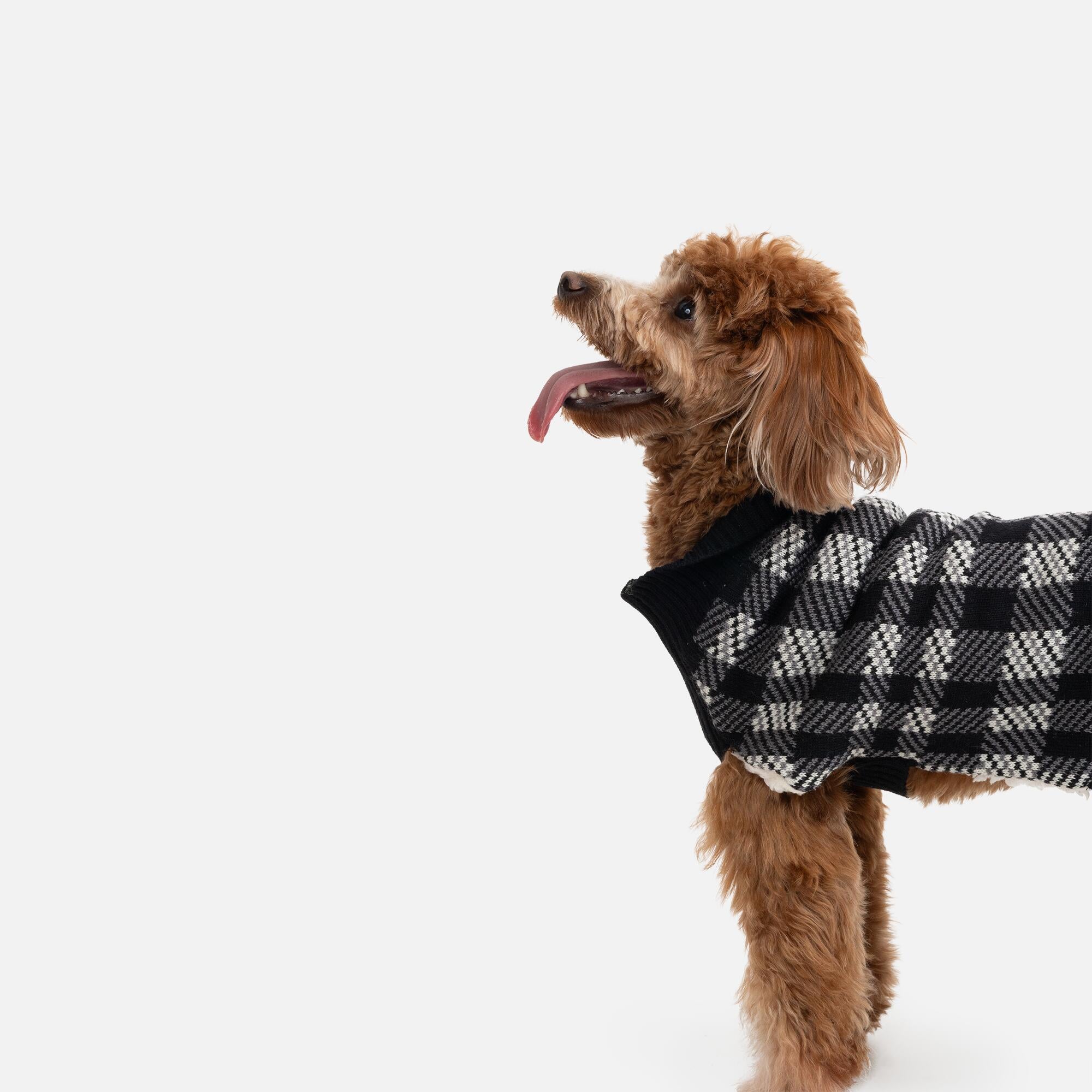 Theo Dog Sweater  Sherpa-Lined Plaid Design for Dogs | Warm, Comfortable & Stylish