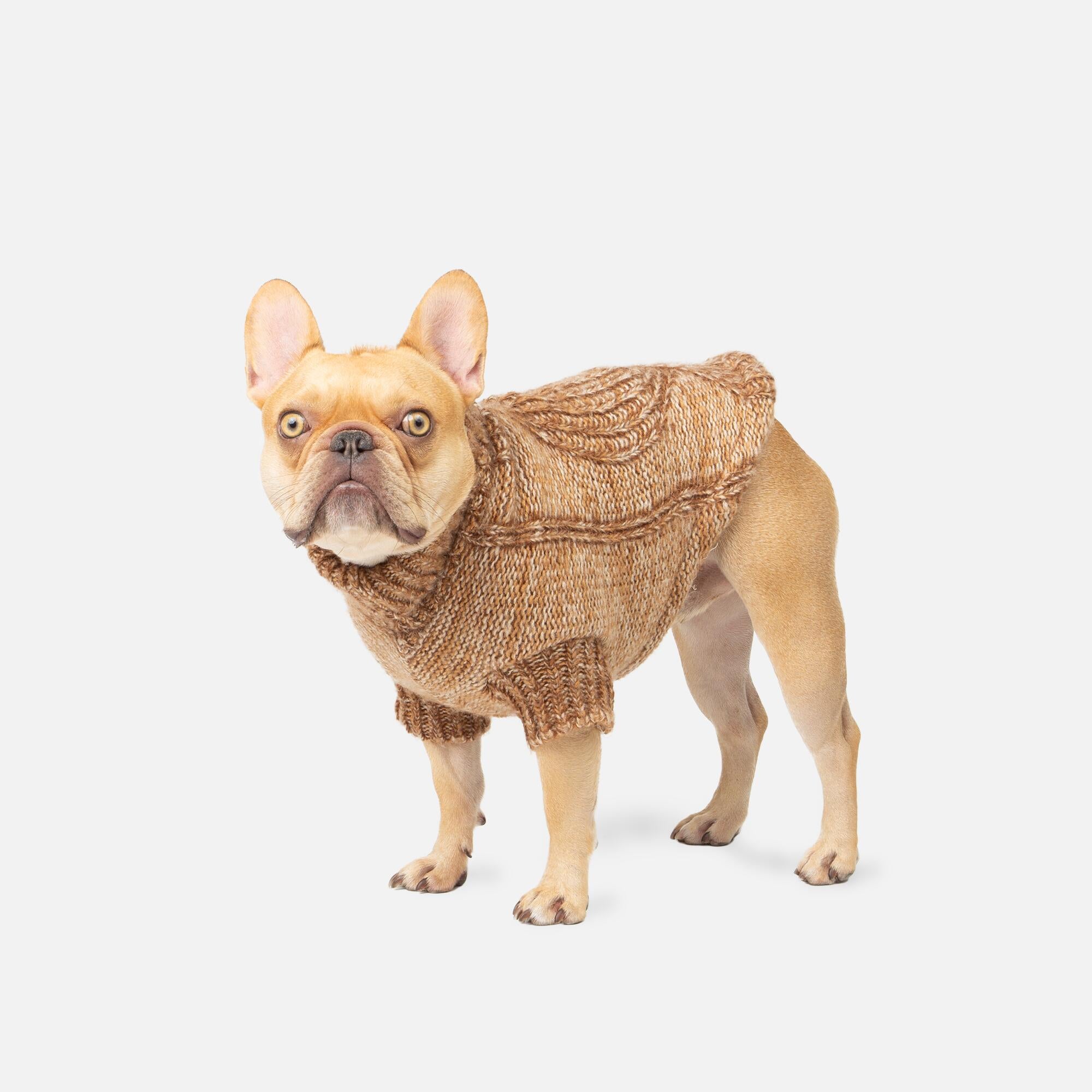 Pull Hazel pour chien, tricot torsadé doublé sherpa. Pull Hazel pour chien – Pull torsadé doublé sherpa pour chien | Confortable, élégant et chaud.