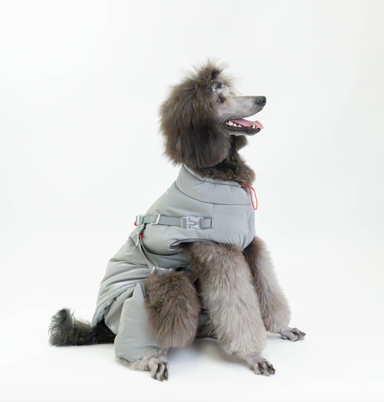 Winter Jacket (test)