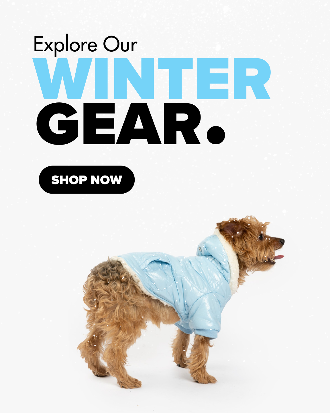 Buy dog top products online