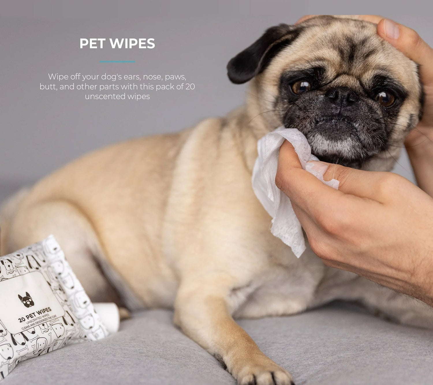 Silver Paw Expandable Pet Wipes, 720-Count – Homesmartcamera