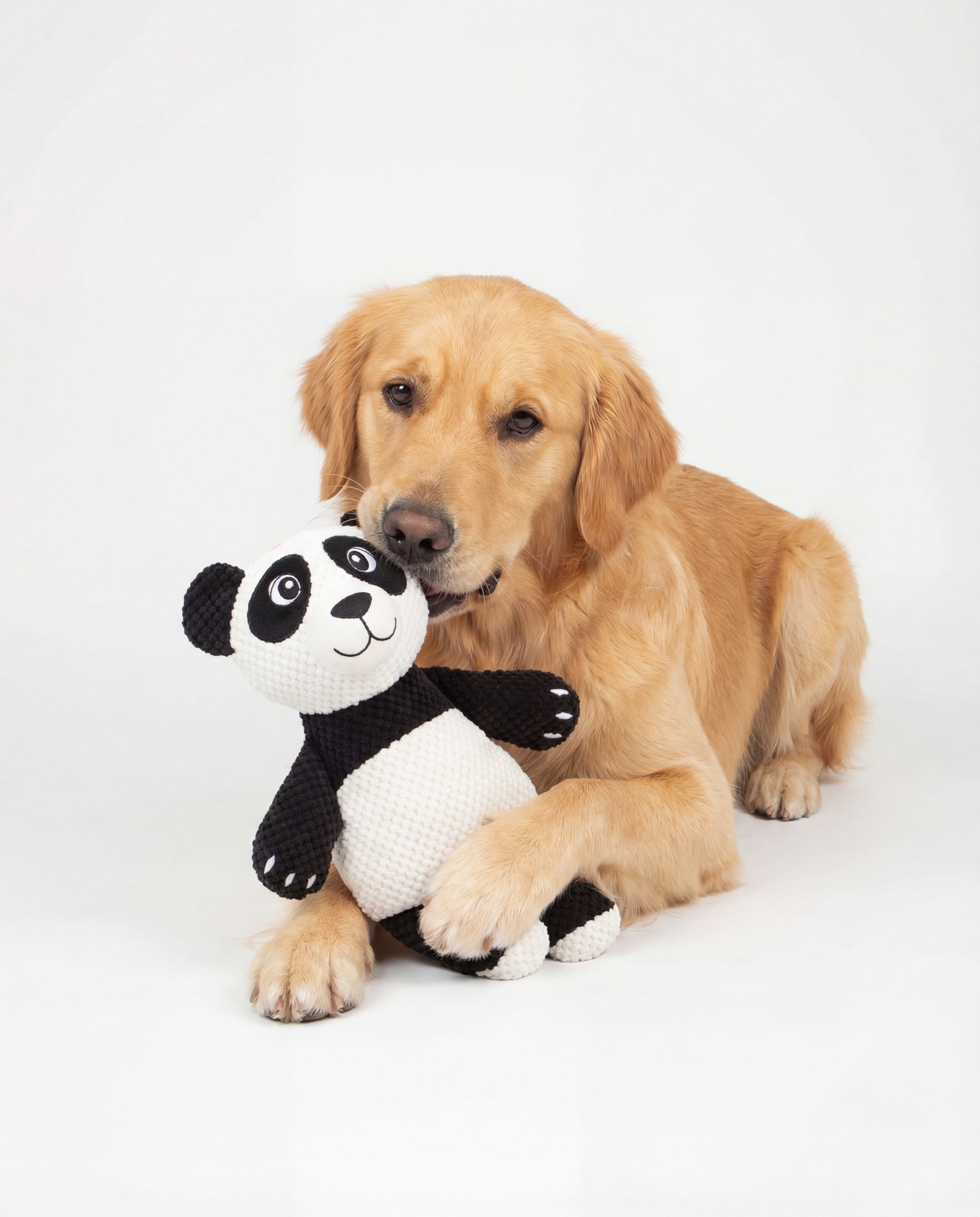 Snugiez Rope Body Jungle Friends  Dog Toy - Panda