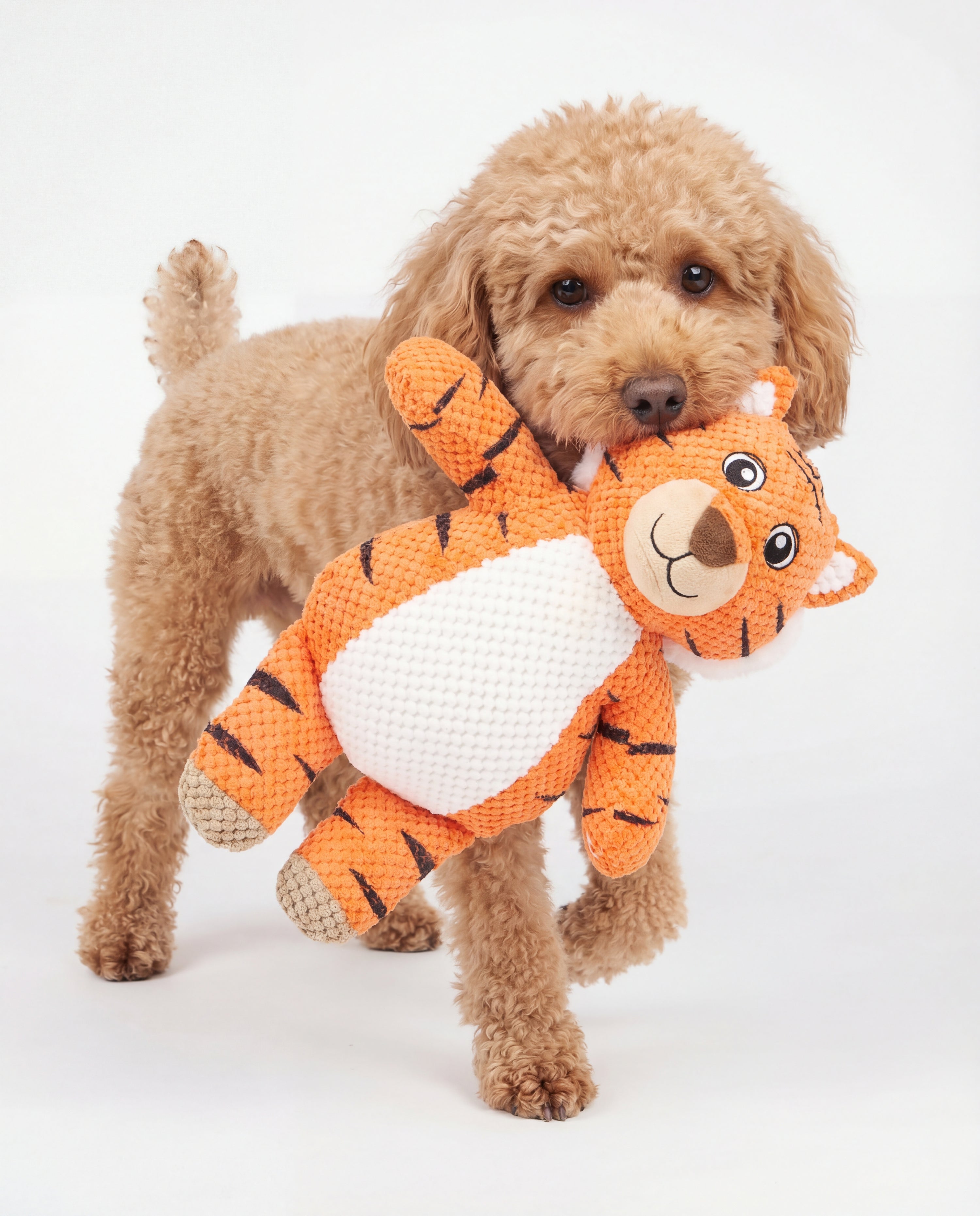 Snugiez Rope Body Jungle Friends  Dog Toy - Tiger