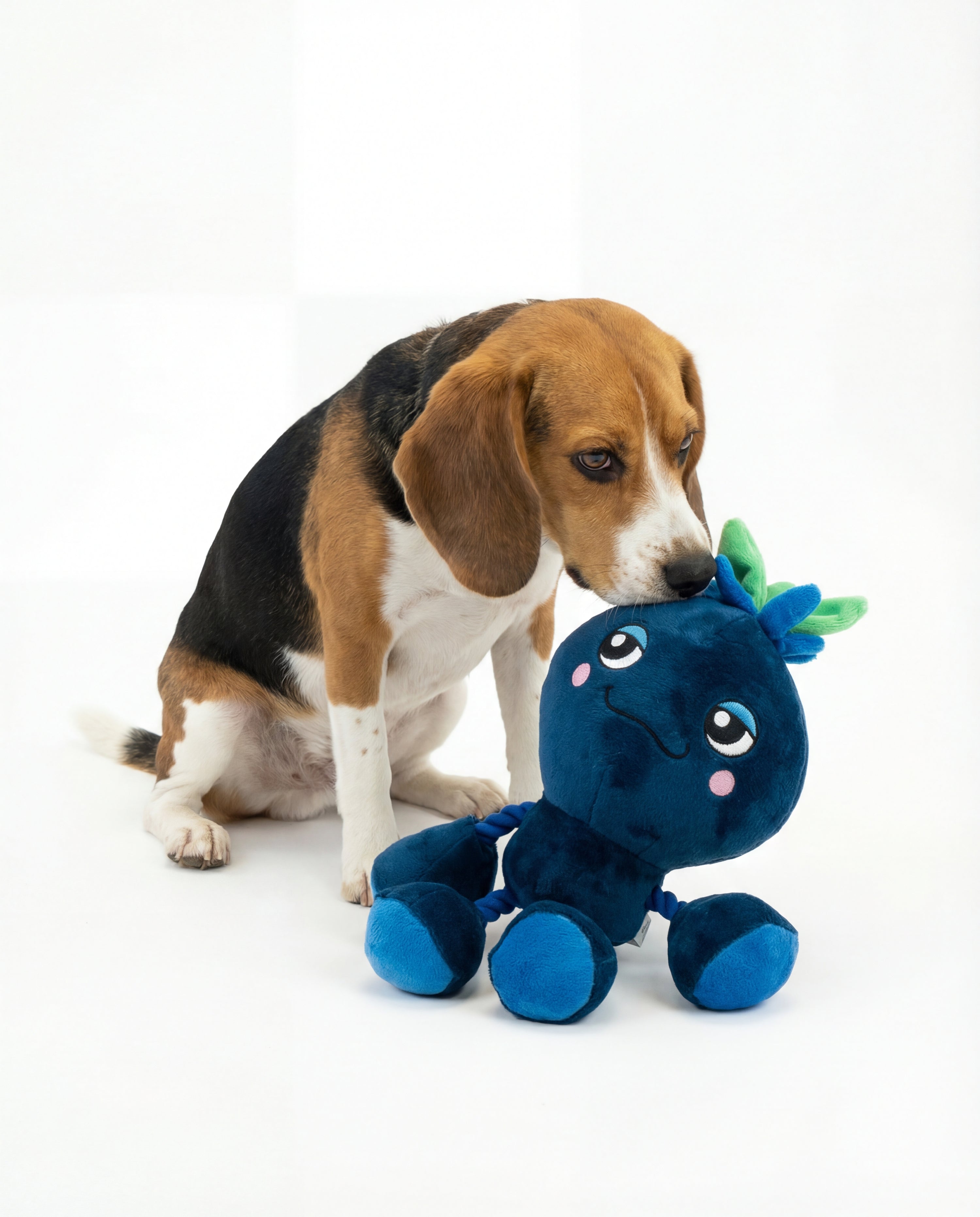 Ropez Rope Body Fruit Friends  Dog Toy - Blue