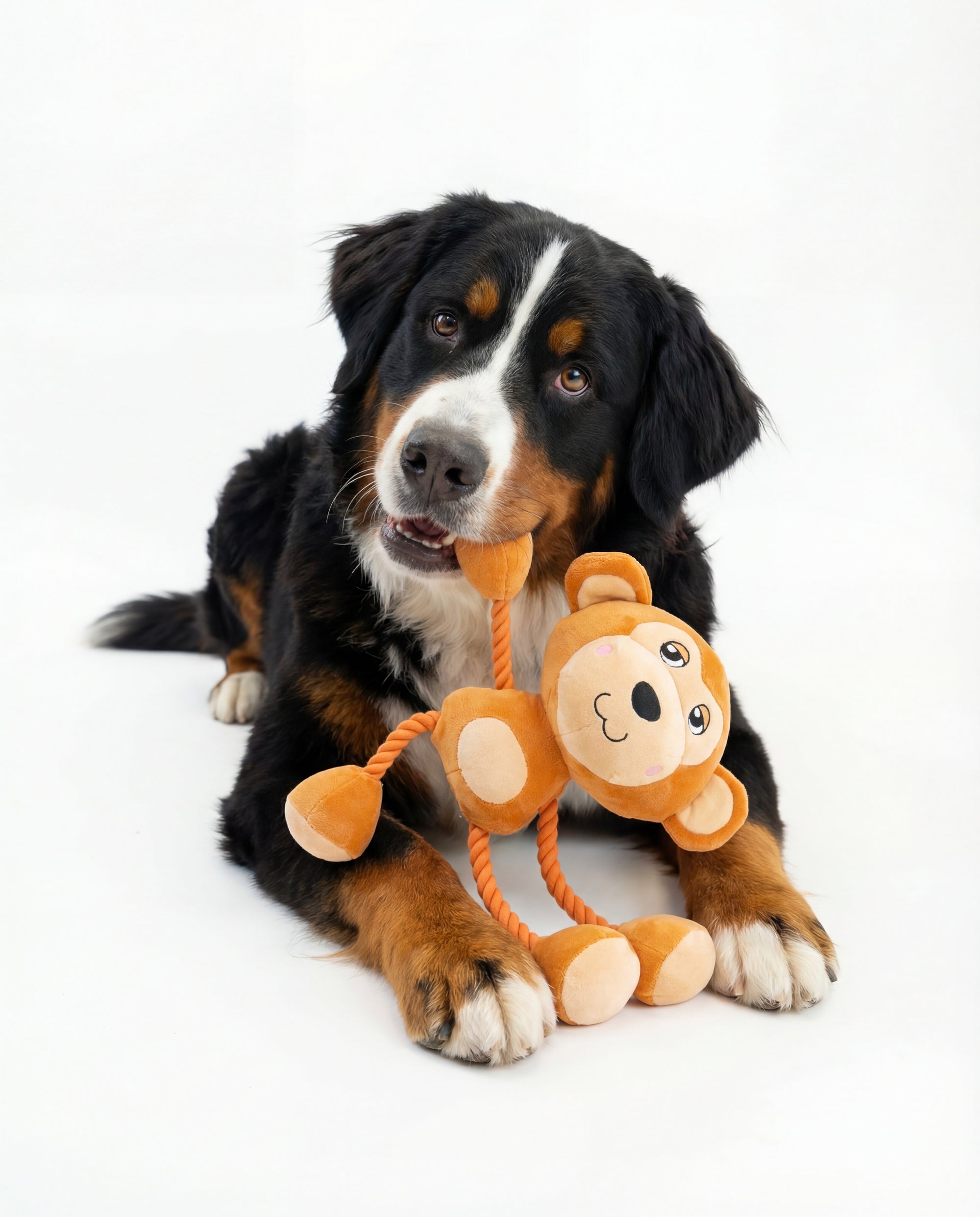 Ropez - Rope Body Big Head Jungle Friends  Dog Toy - Monkey