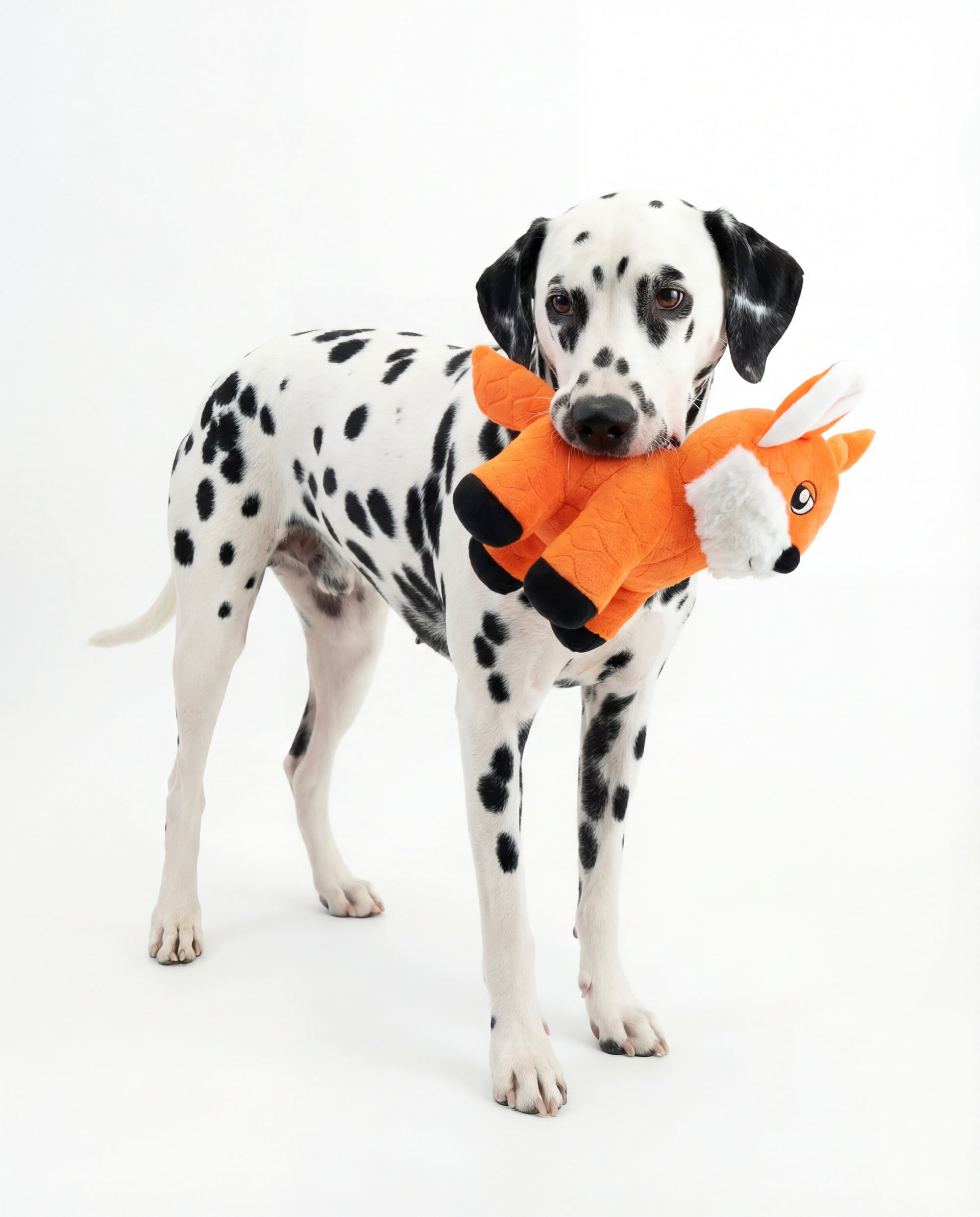 Seemz Heavy Duty Stitched Farm Animals  Dog Toy  - Fox