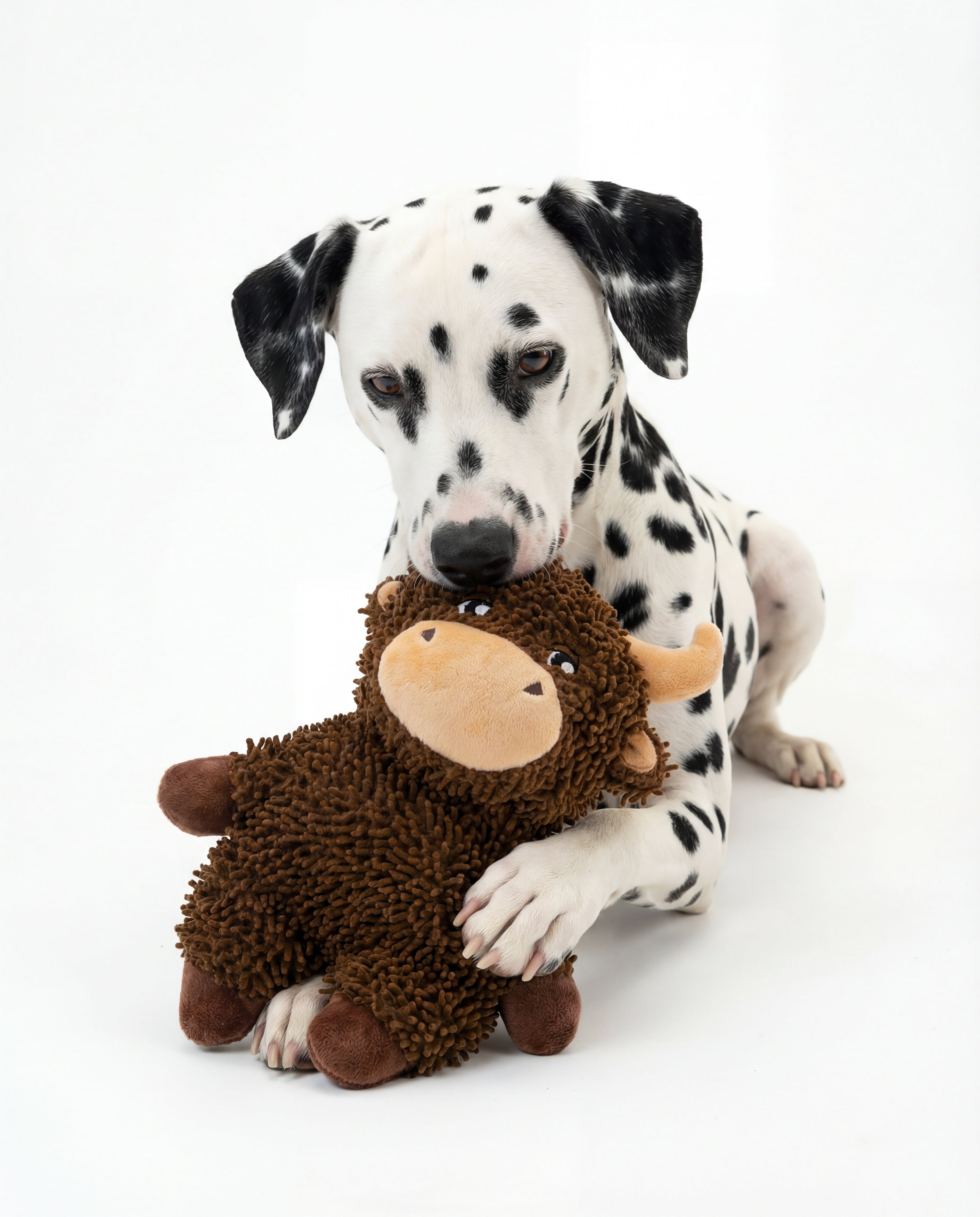 Bull Dog Toy, Farm Animal Line, Plush