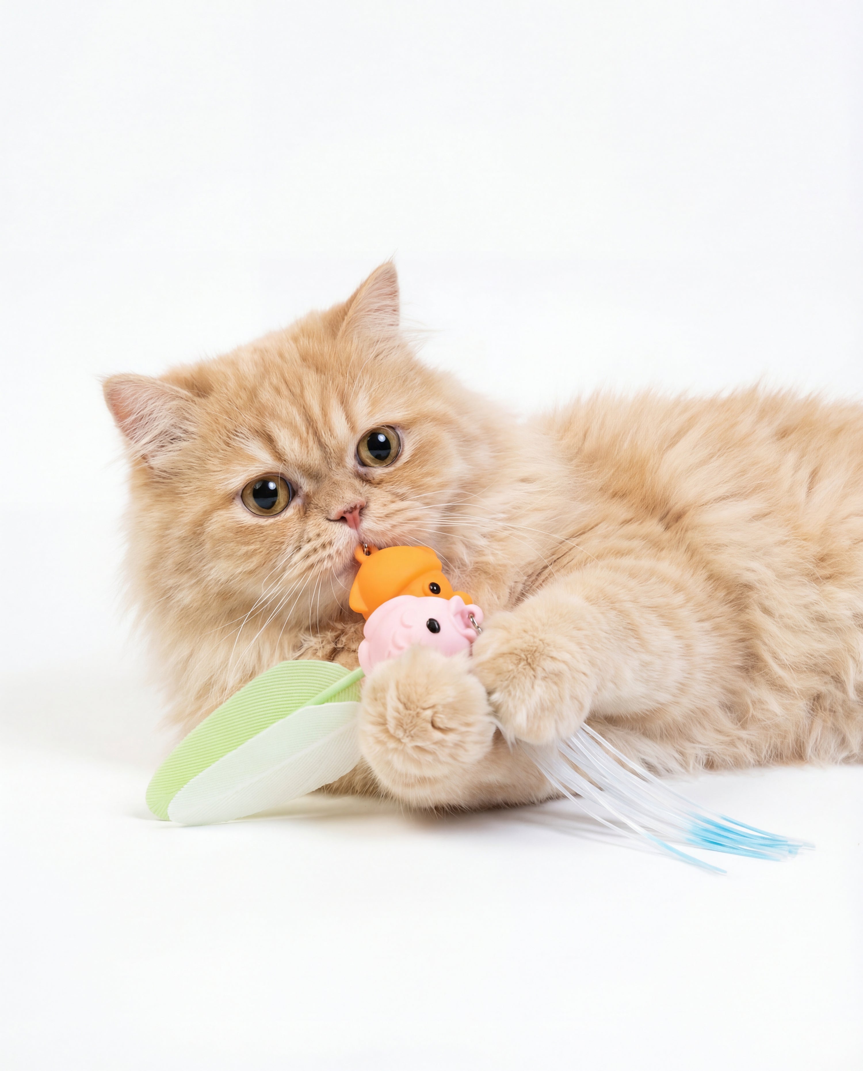 Silliez Silicone Star & Feather Refill (2-Pack)