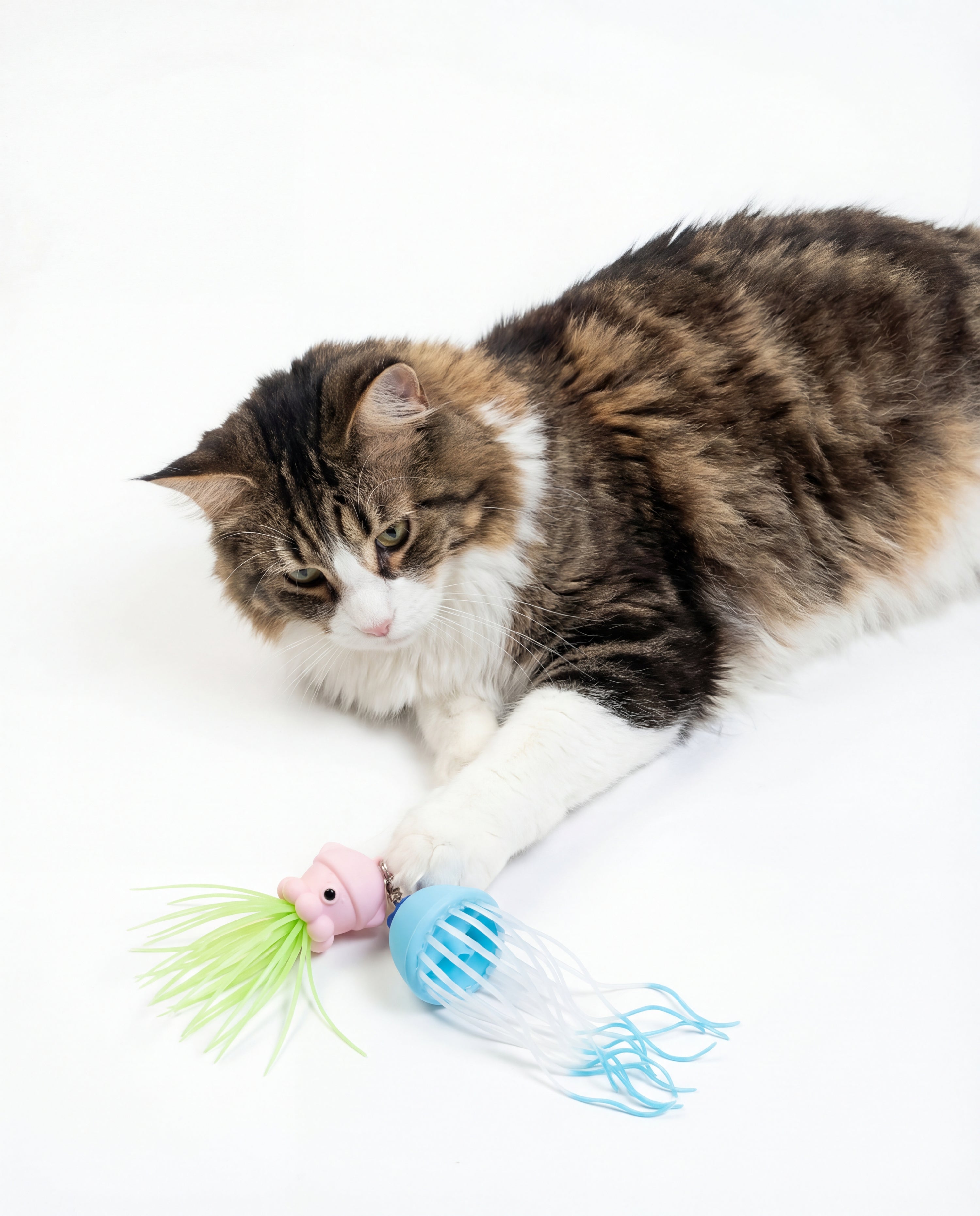 Silliez Silicone Aquatic Friends Refill (2-Pack)