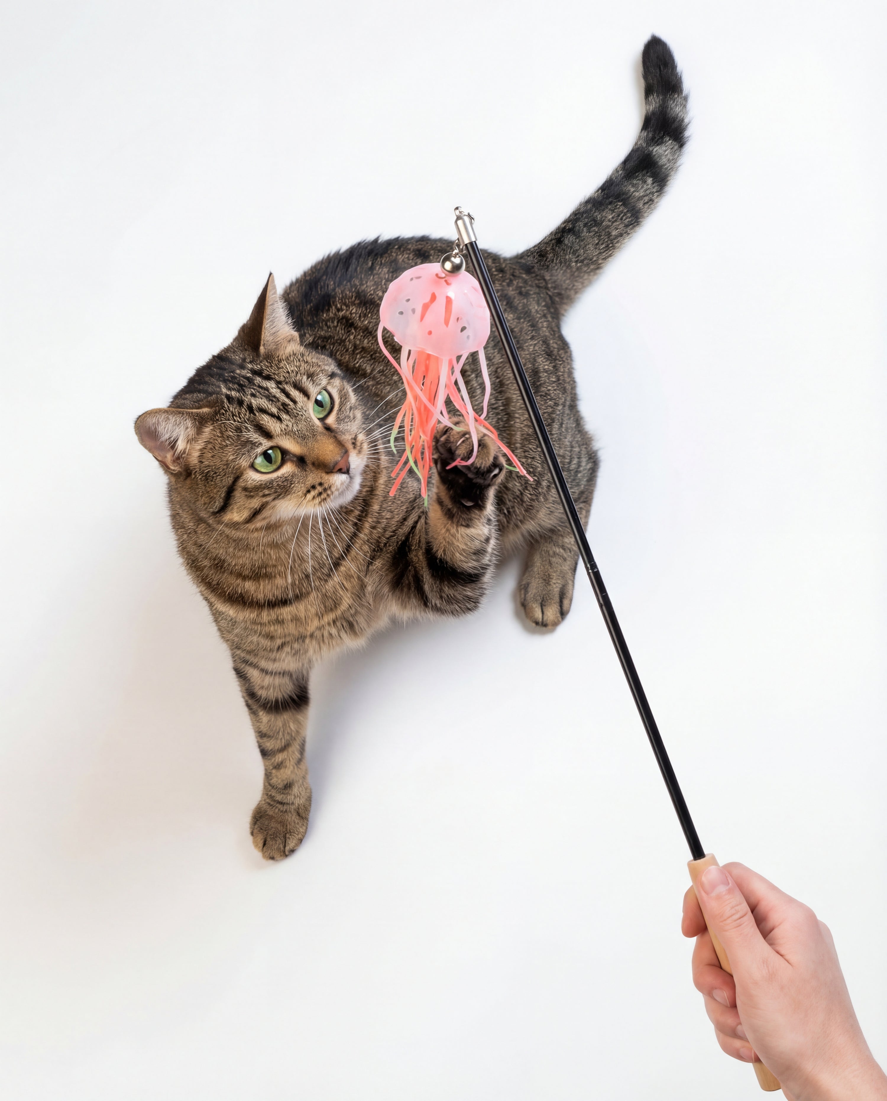 Silliez Silicone Interactive Jellyfish Wand