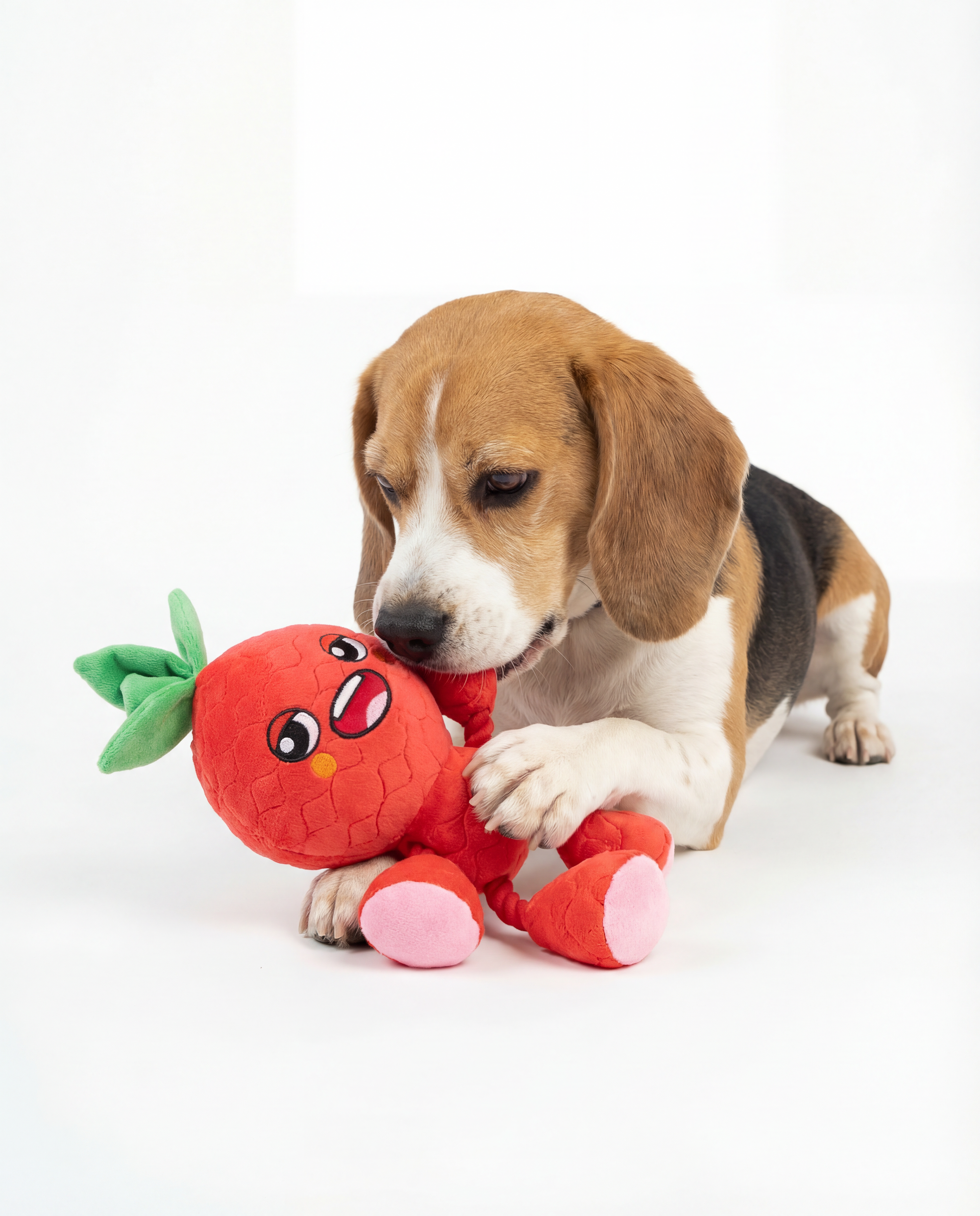 Ropez Rope Body Fruit Friends  Dog Toy - Red