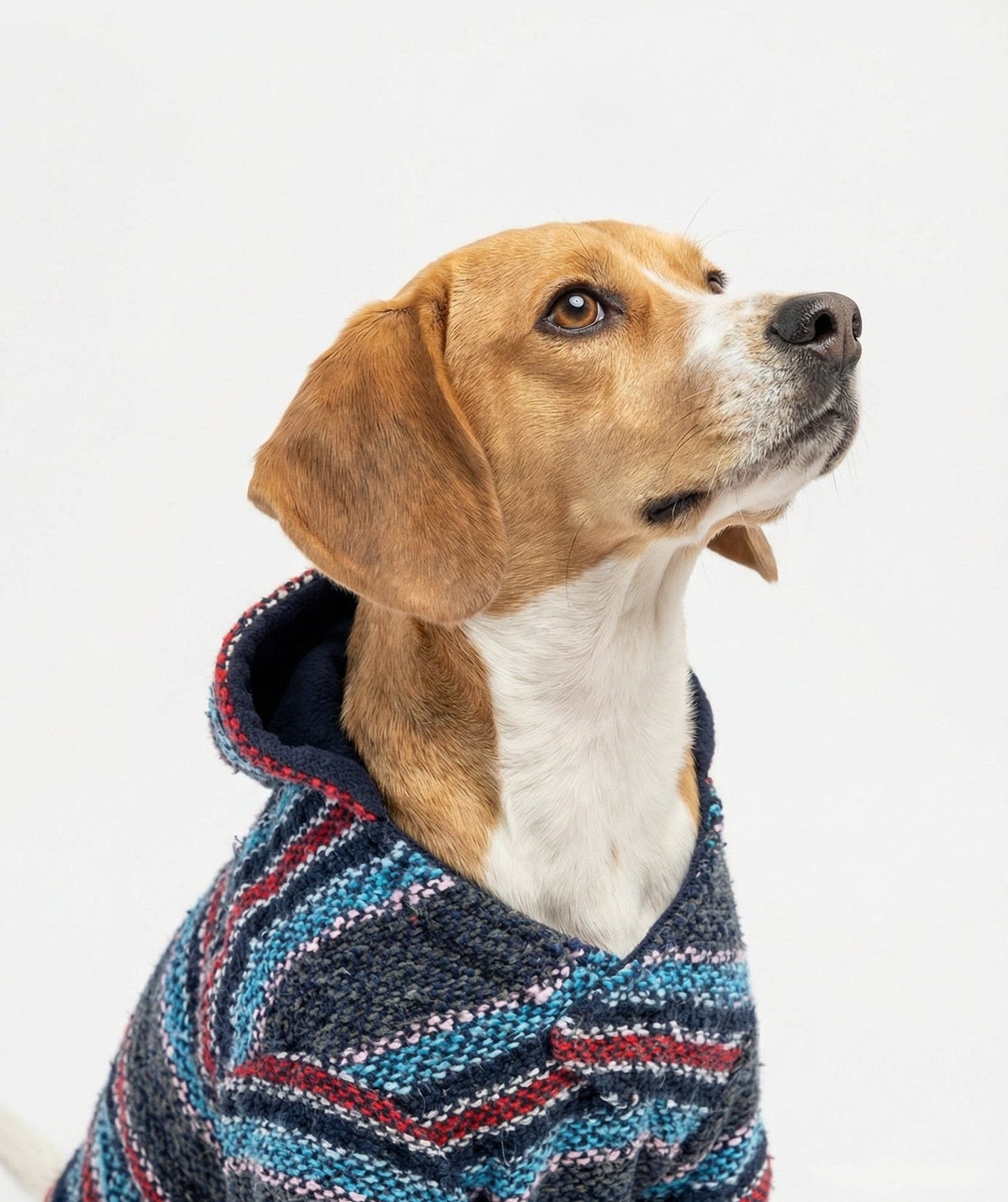 Baja Dog Jacket