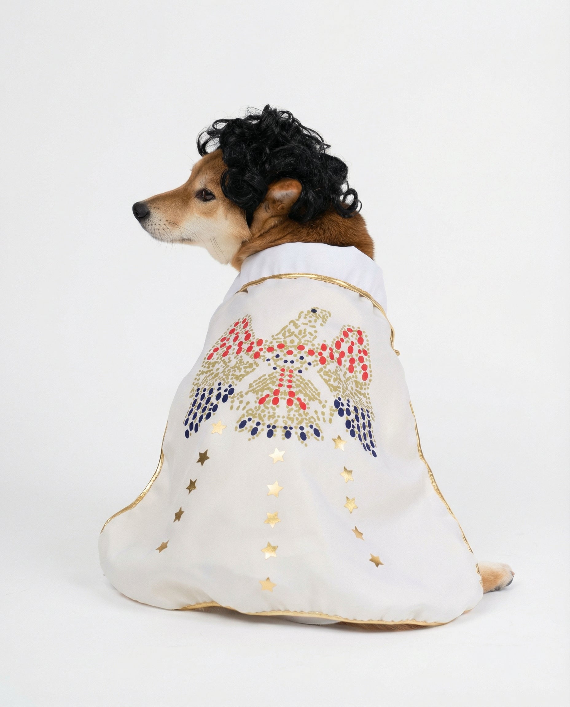 Elvis Showman Dog Costume | Rock 'n' Roll Star Outfit for Pets