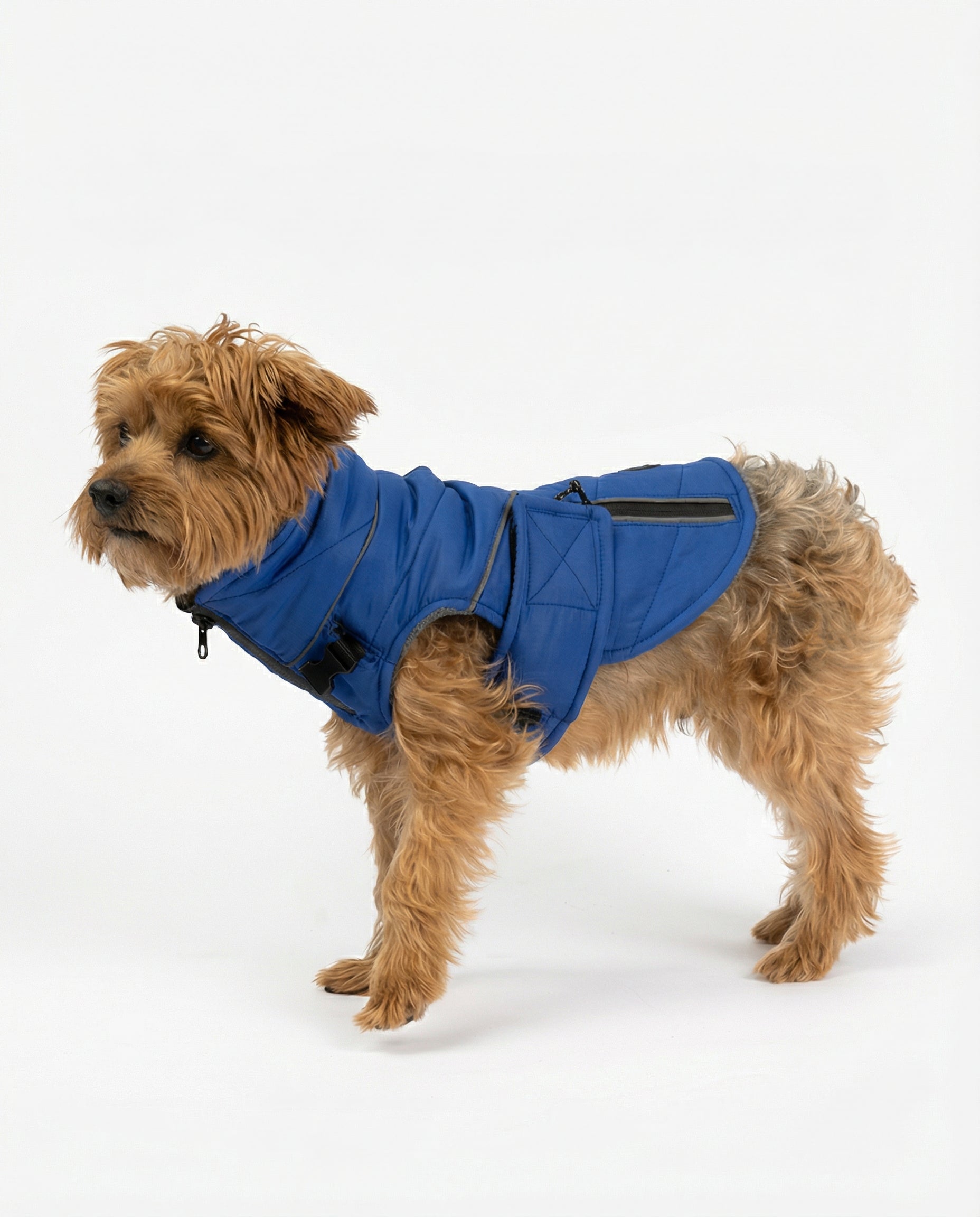 Monty Dog Jacket  Water-Resistant Jacket with Harness Attachment & Reflective Piping