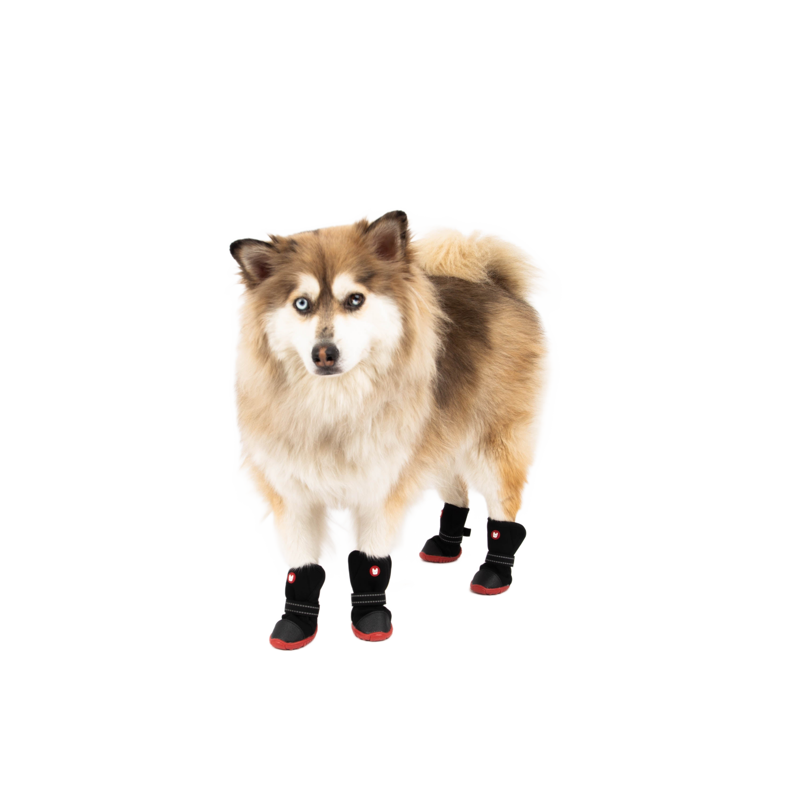 Image from Cedar Winter Dog Boots - Copy