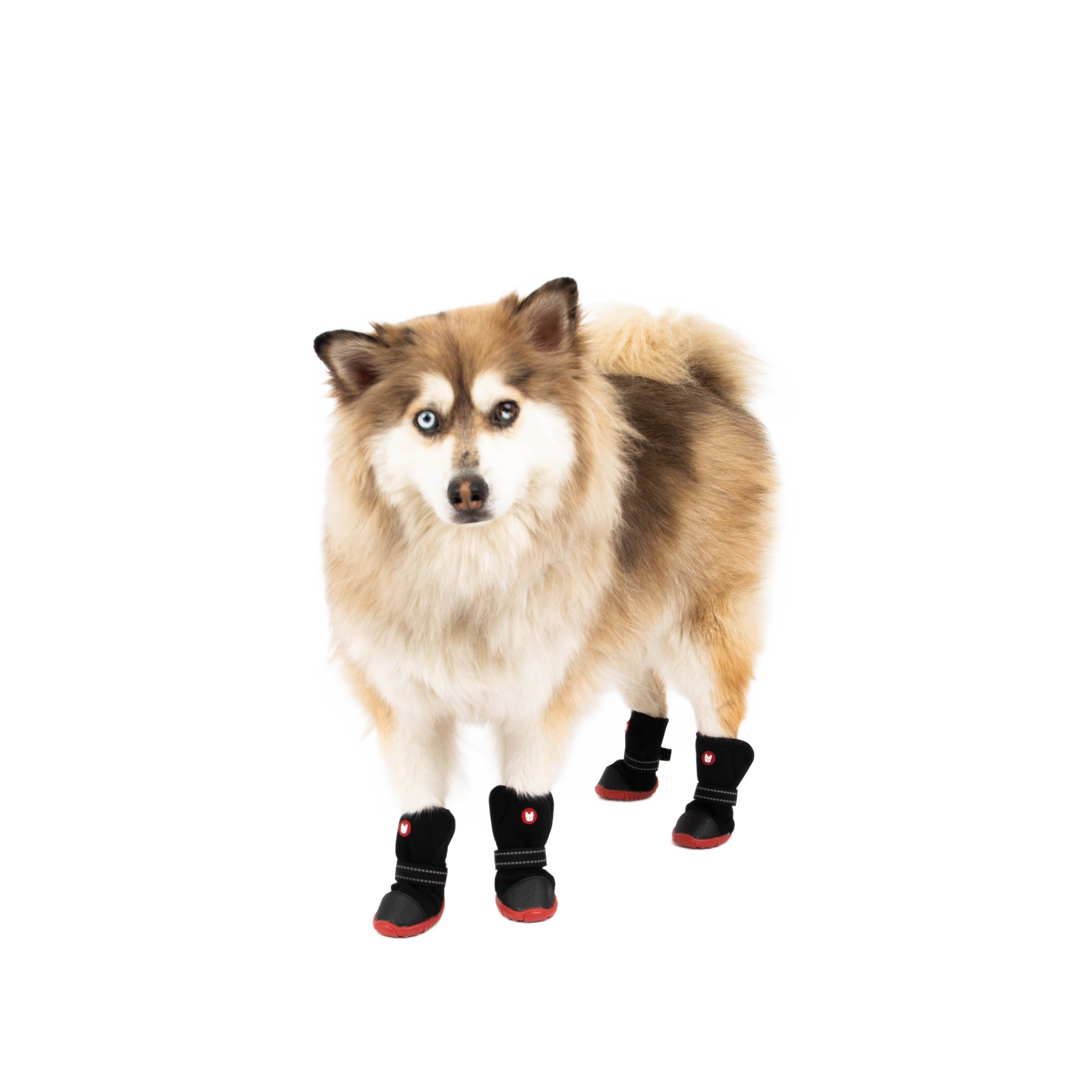 Image from Cedar Winter Dog Boots - Copy
