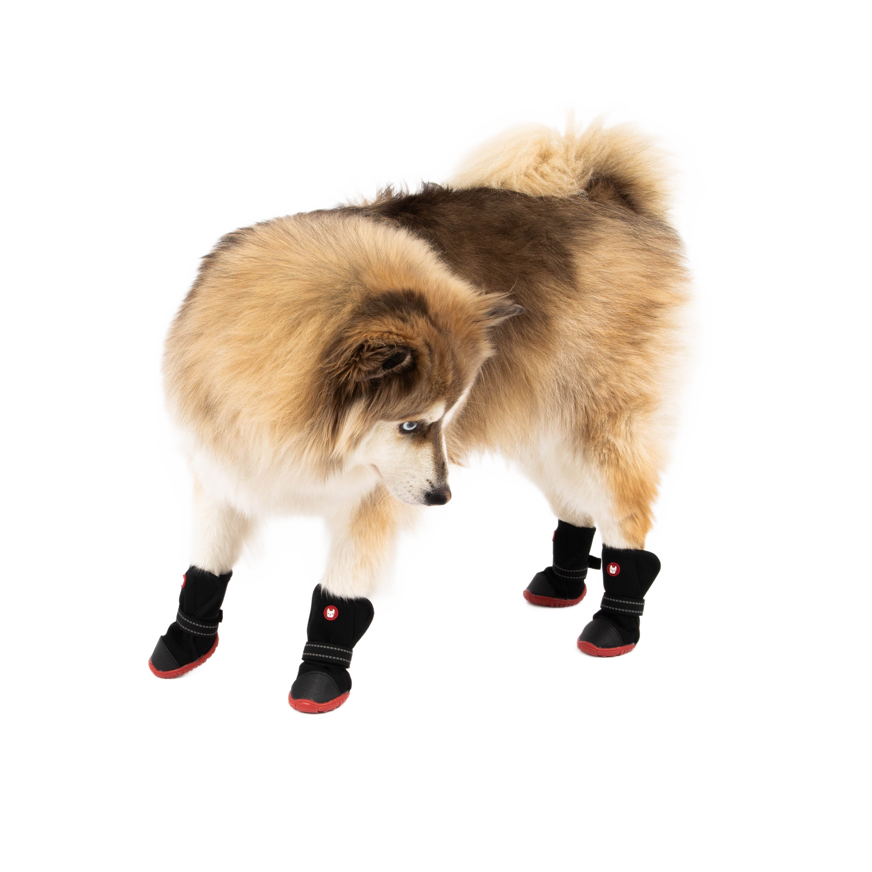 Image from Cedar Winter Dog Boots - Copy