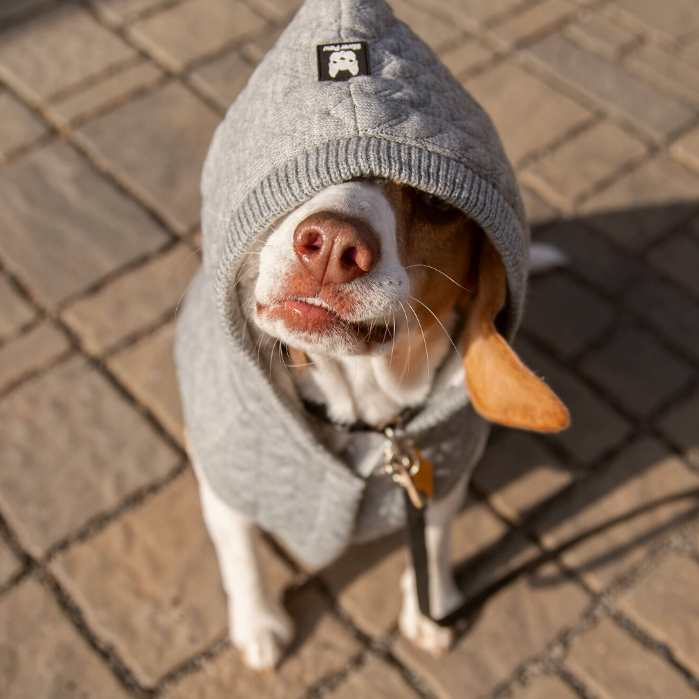 Aquafleece Dog Harness Grey Silver Paw