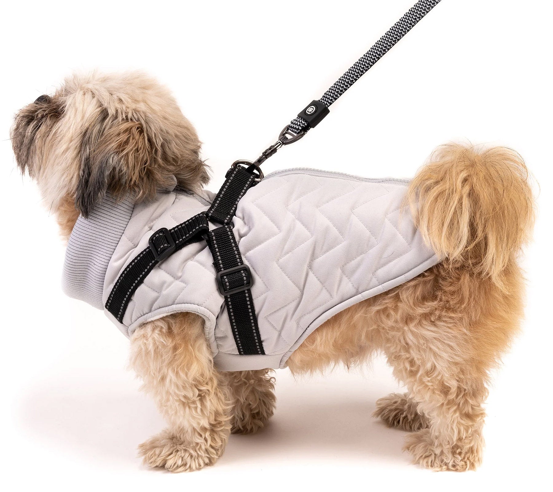 Dog jacket with on sale built in harness