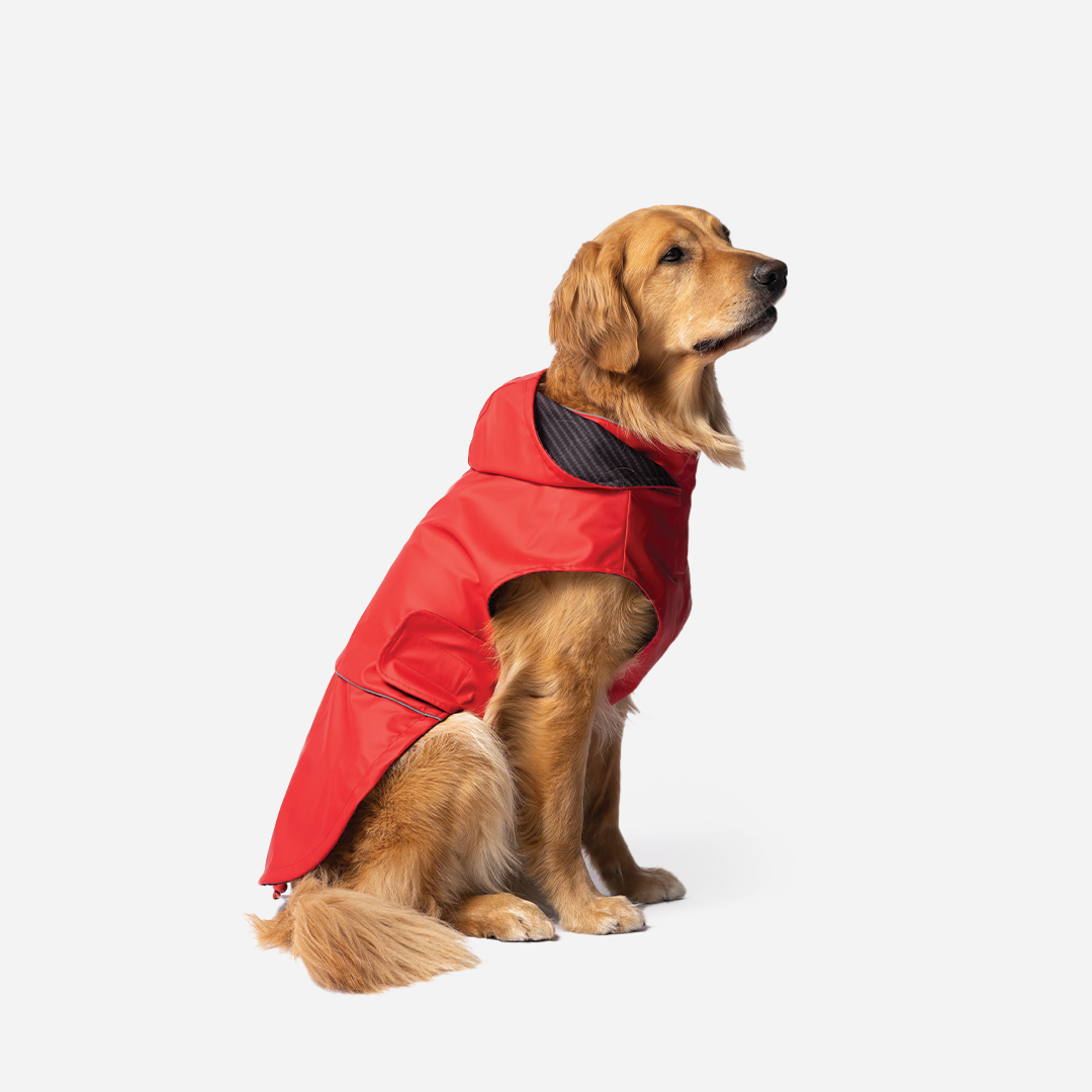 Aden 2.0 Dog Raincoat Red  Waterproof, Adjustable Fit, Reflective Piping & UV Protection