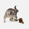 2-In-1 Beaver & Log Trunk Cat Toy | Interactive Plush & Catnip-Filled