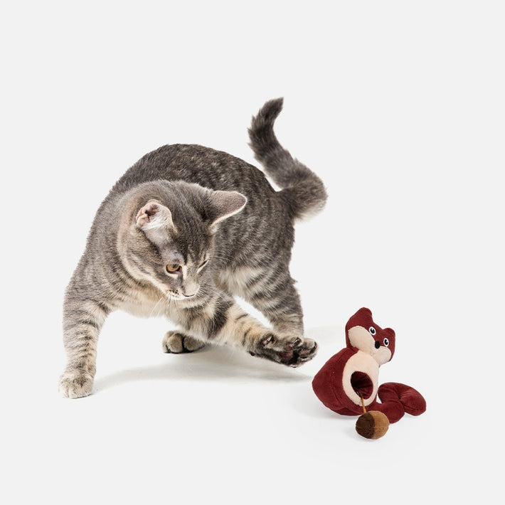 2-In-1 Squirrel And Nut Cat Toy - Silver Paw