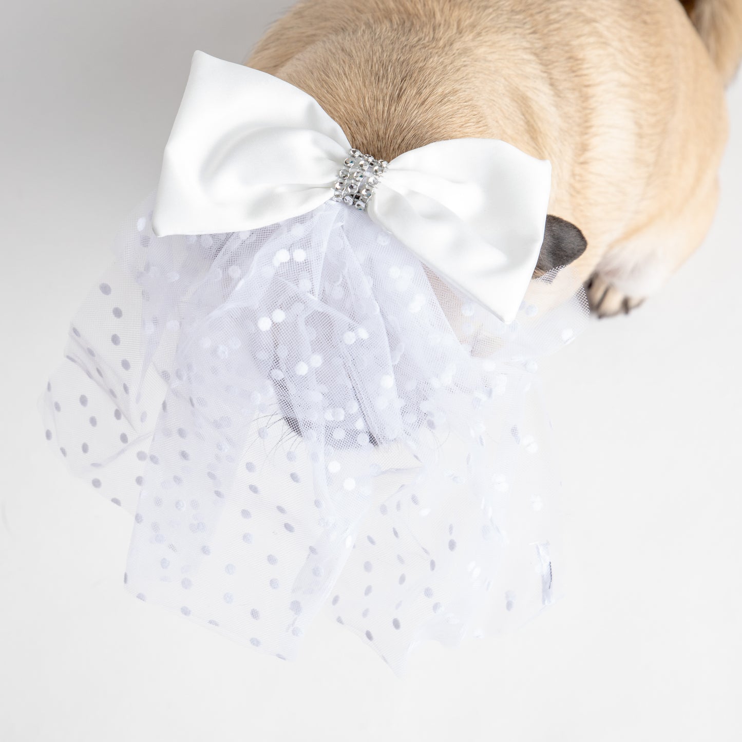 👰🐶 Bridal Veil Dog Costume – Elegant Veil for Weddings & Special Occasions
