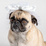 👰🐶 Bridal Veil Dog Costume – Elegant Veil for Weddings & Special Occasions