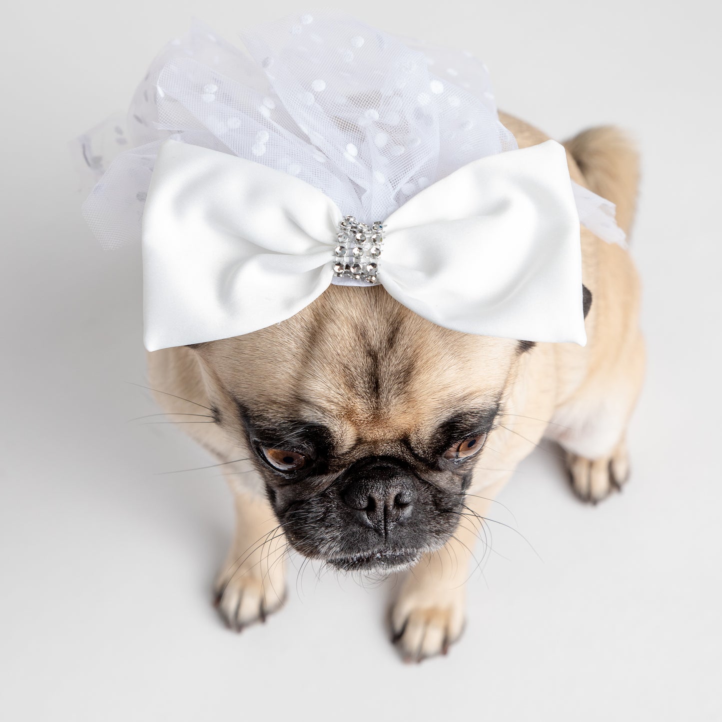 👰🐶 Bridal Veil Dog Costume – Elegant Veil for Weddings & Special Occasions