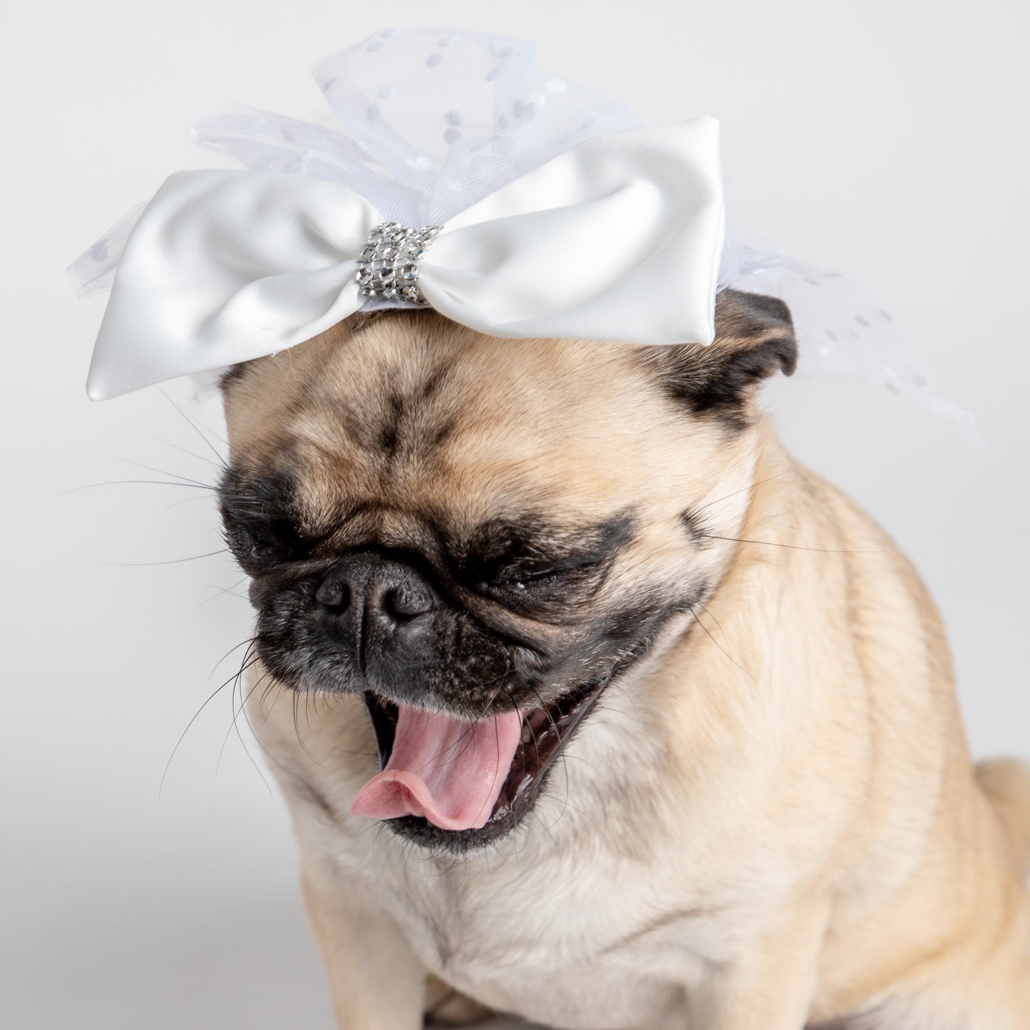 👰🐶 Bridal Veil Dog Costume – Elegant Veil for Weddings & Special Occasions