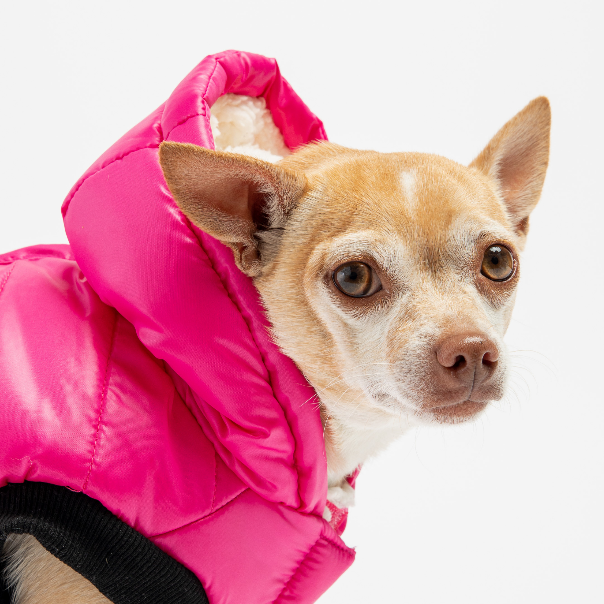 Emma Dog Jacket  Shiny Raspberry Water-Resistant Winter Coat with Sherpa Lining