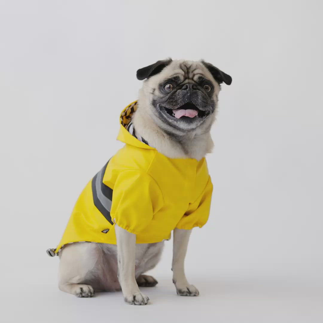 Aden Dog Raincoat - Yellow – Silver Paw