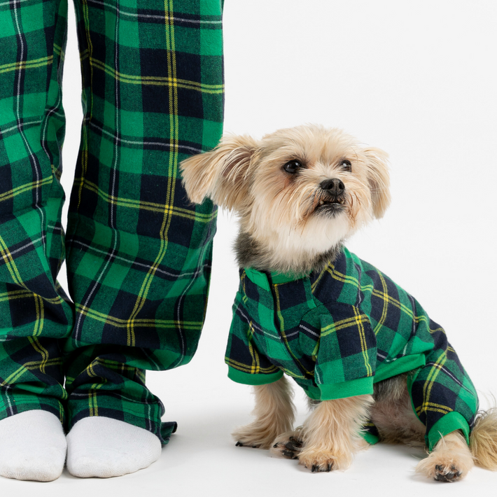 Pyjama Assorti Humain et Chien - Plaid Vert