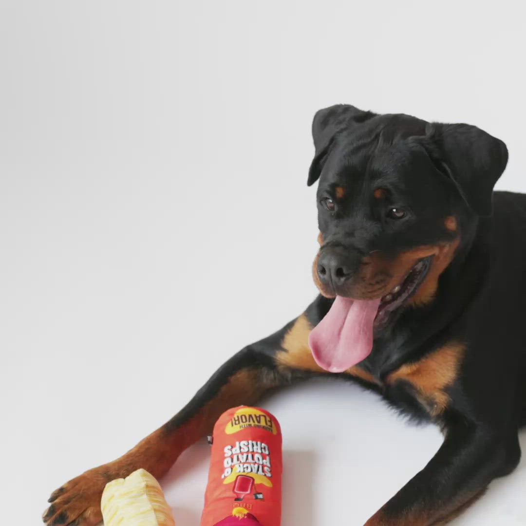 Stack O' Potato Chips Dog Toy Silver Paw