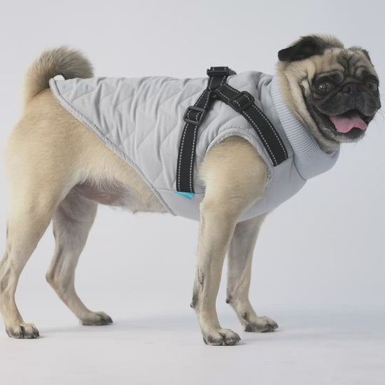 Quilted Dog Jacket With BuiltIn Harness Grey Silver Paw