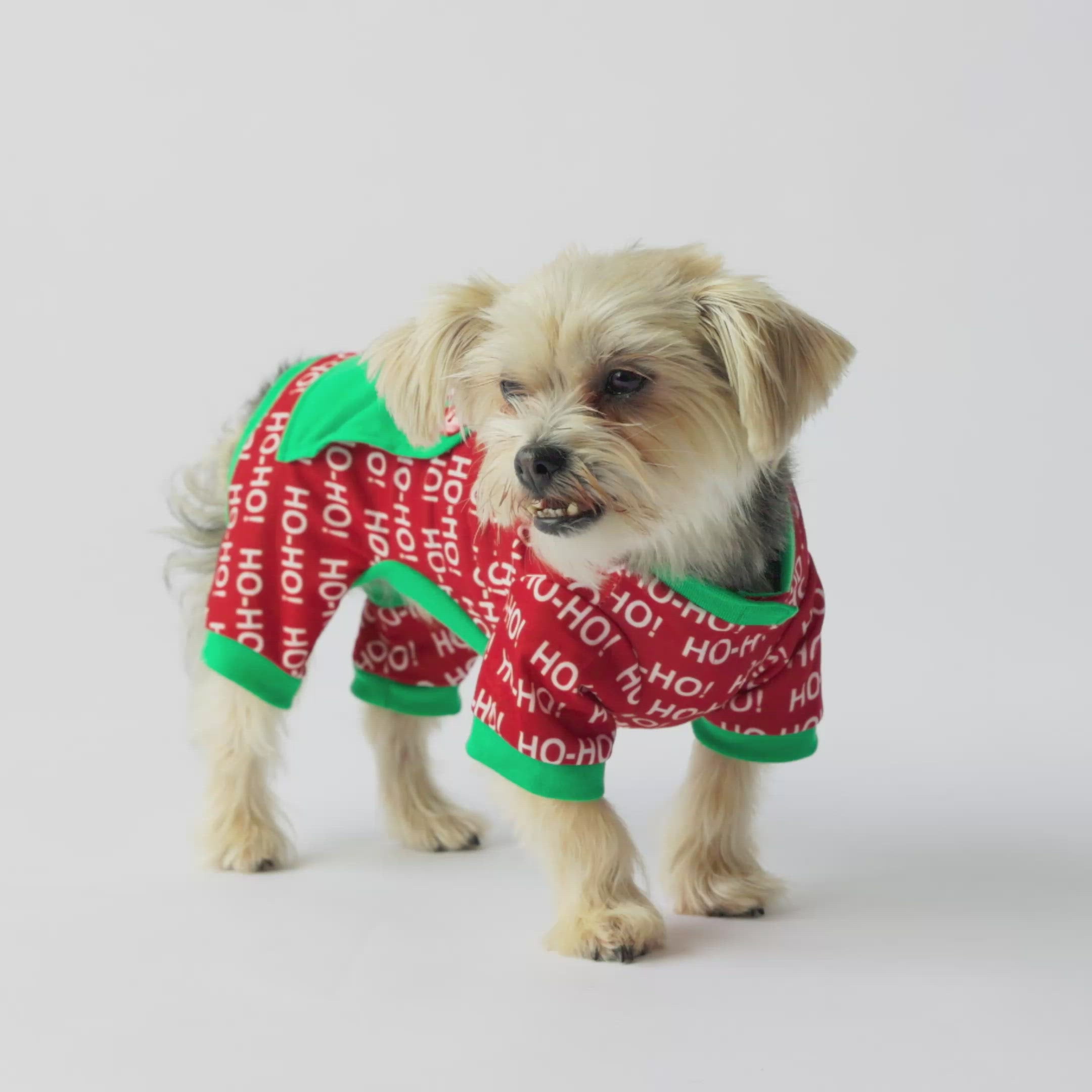 Human and dog 2024 matching christmas jumpers