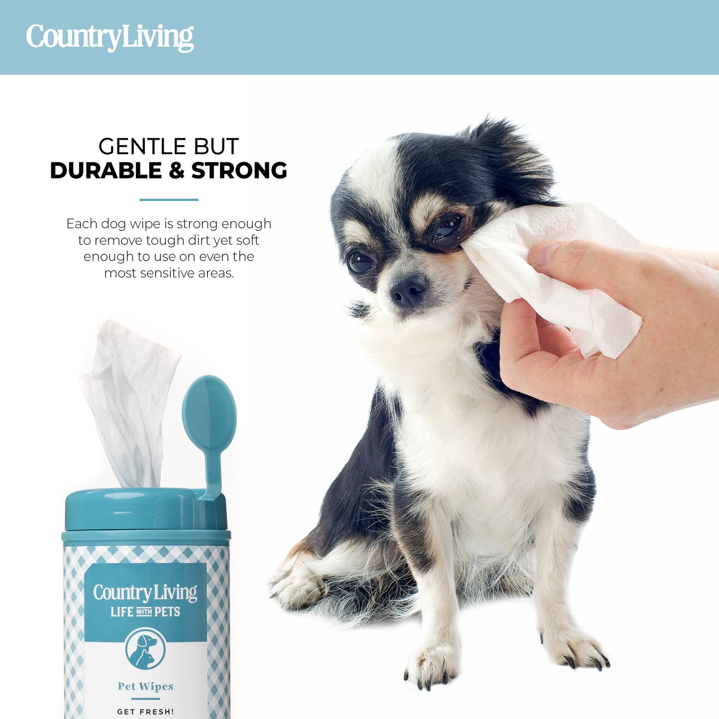 75 Fragrance Free Dog Wipes - Silver Paw