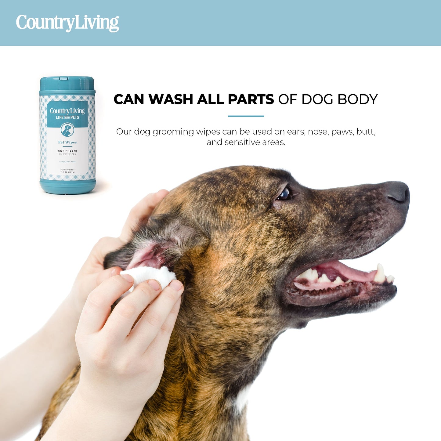 75 Fragrance Free Dog Wipes - Silver Paw