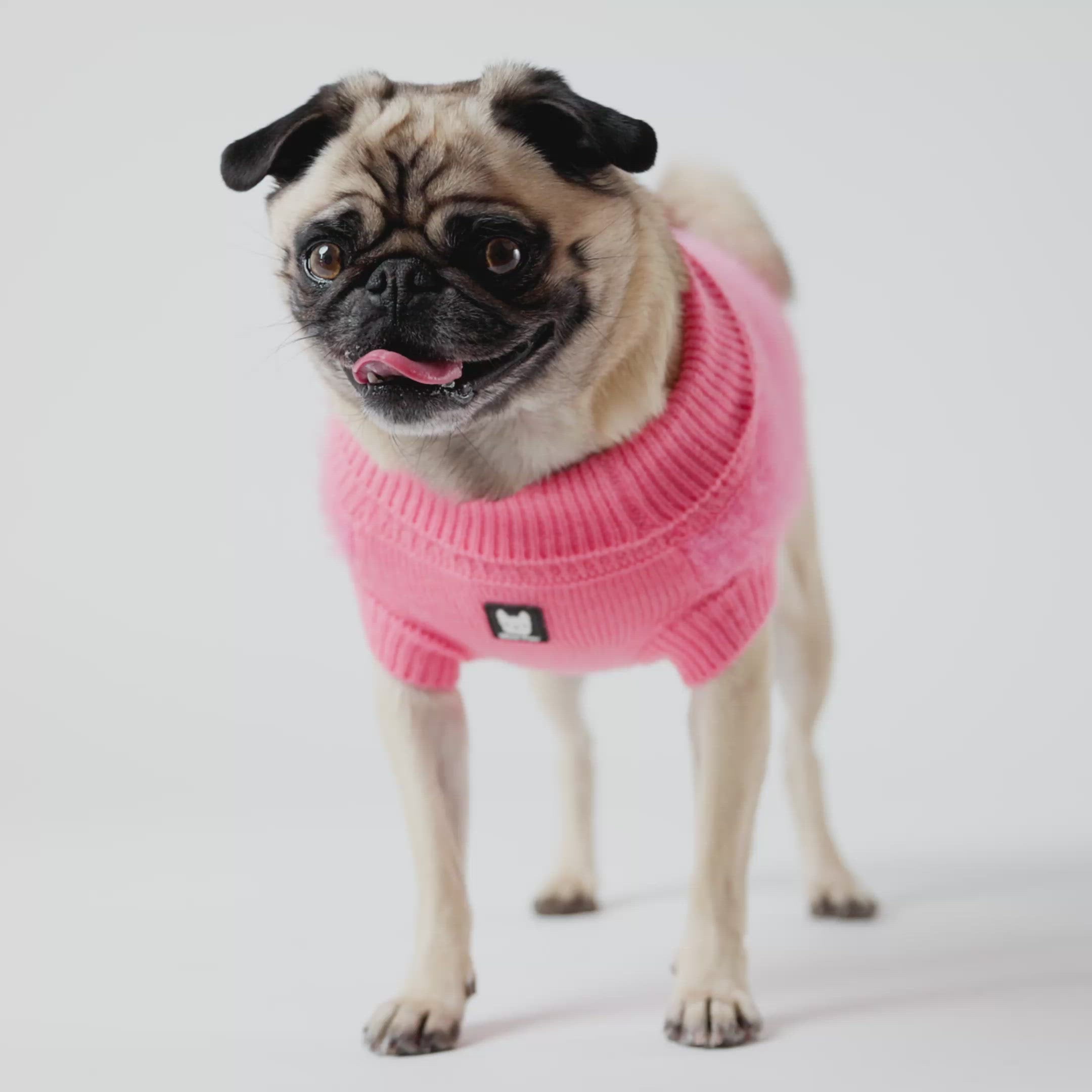 Fifi Dog Sweater