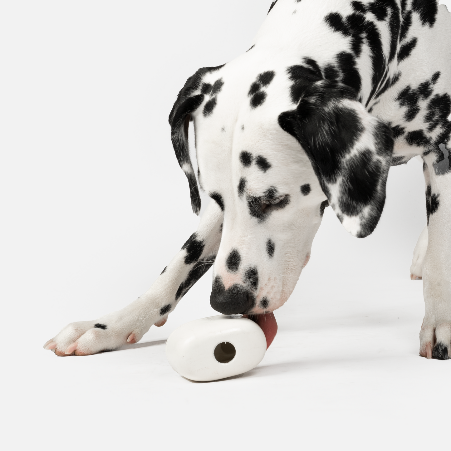 Earbuds With Vanilla Scent Dog Toy Silver Paw