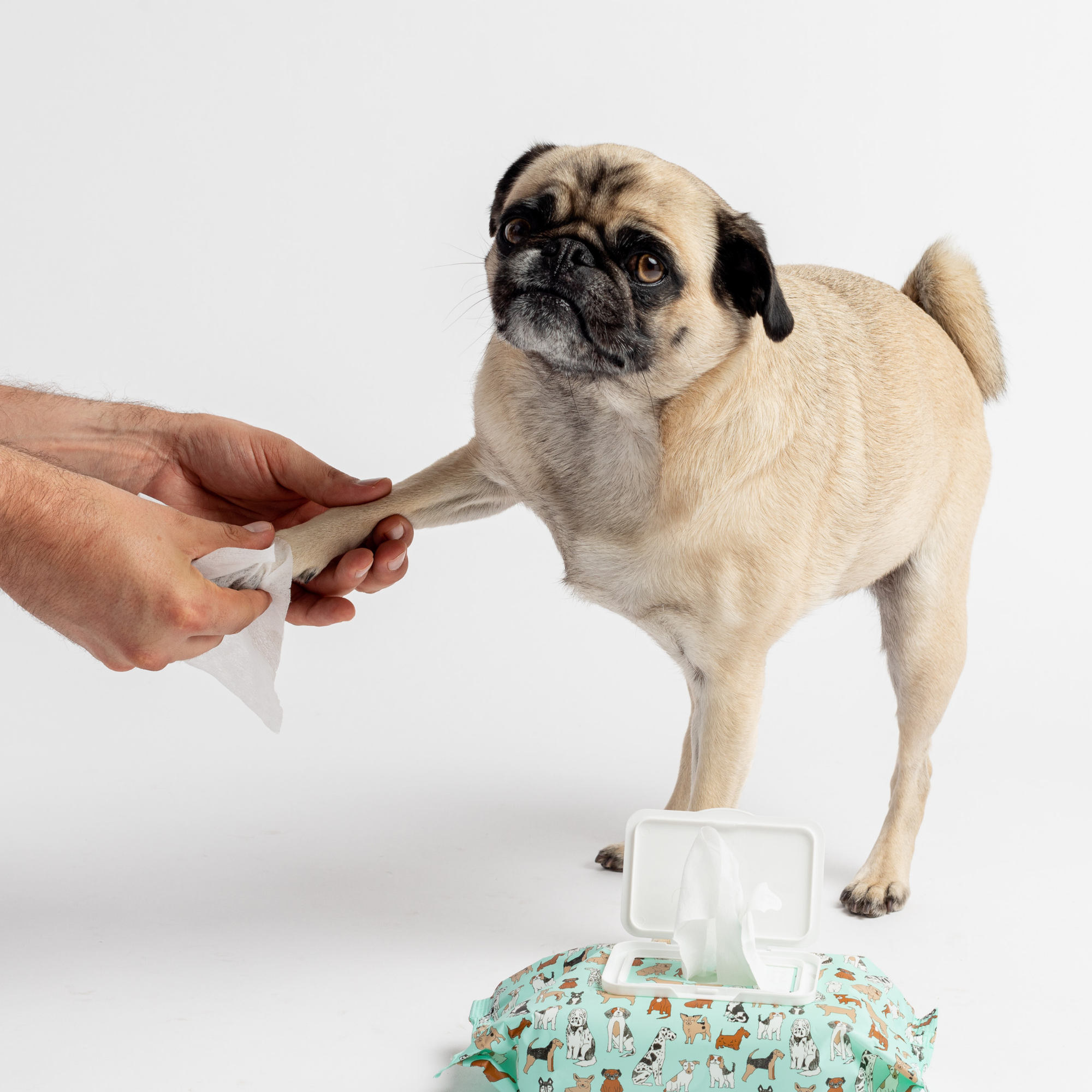 Get Fresh Dog Wipes  Aloe Vera Scented Grooming Wipes (100ct)