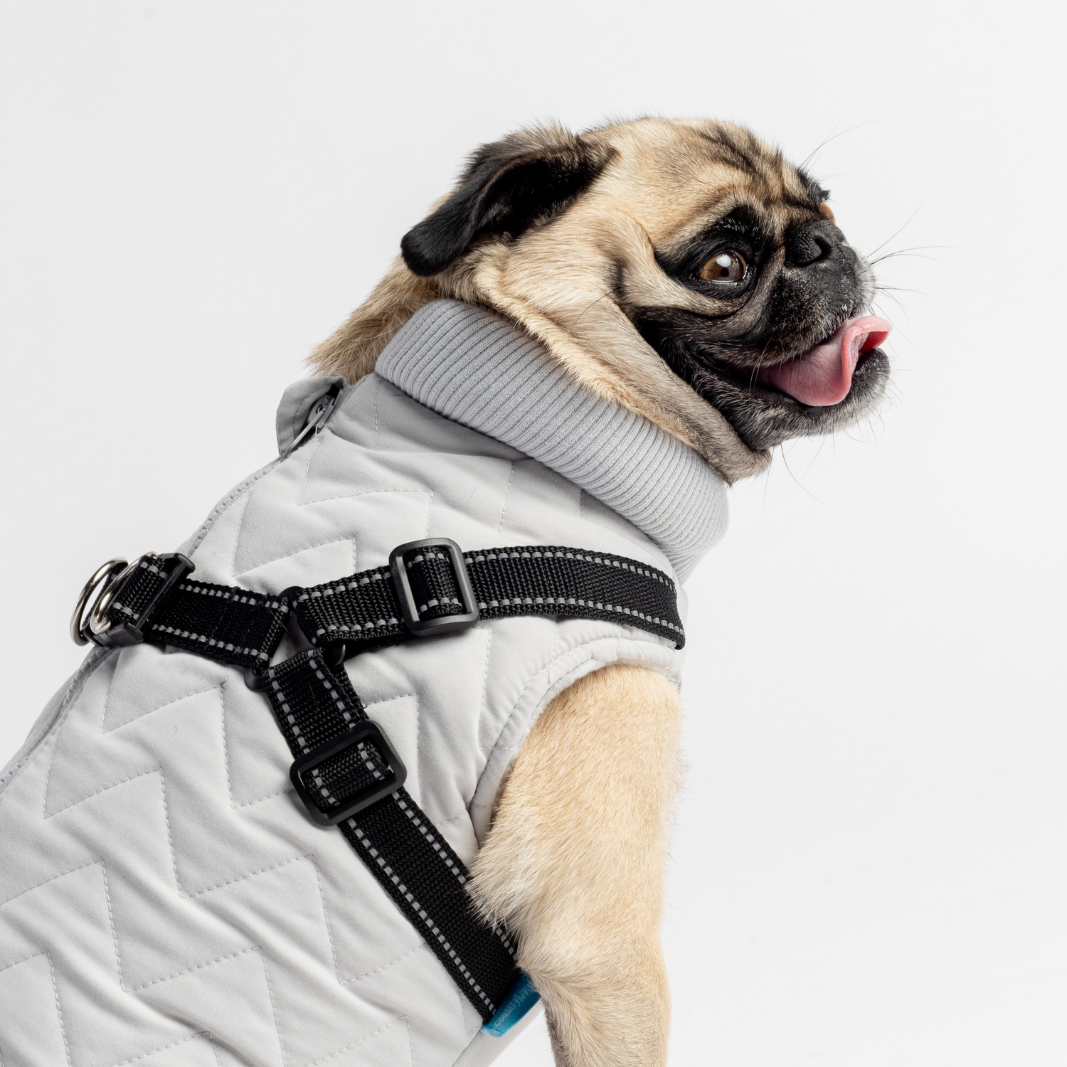 Quilted Dog Jacket With Built In Harness Grey Silver Paw