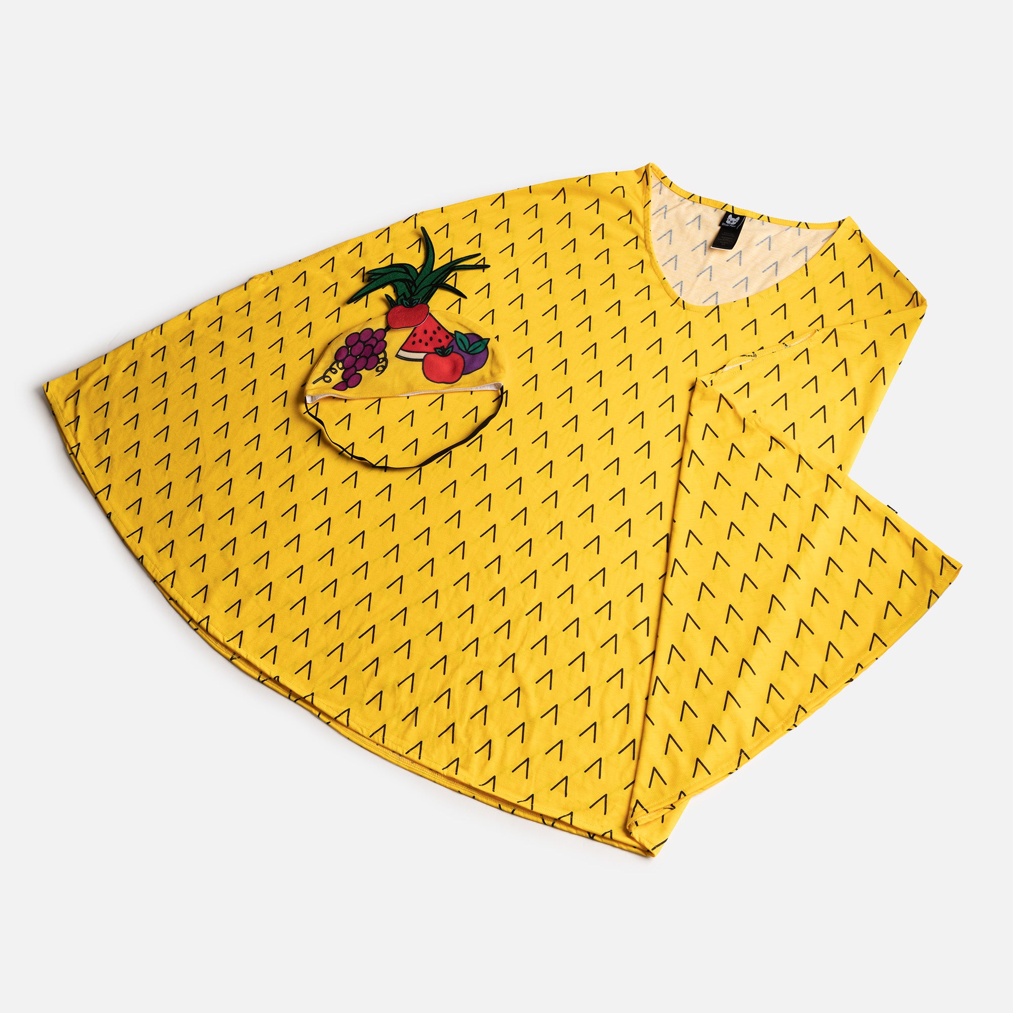 Fruit Basket Matching Human Costume  Fun & Easy Halloween Outfit!