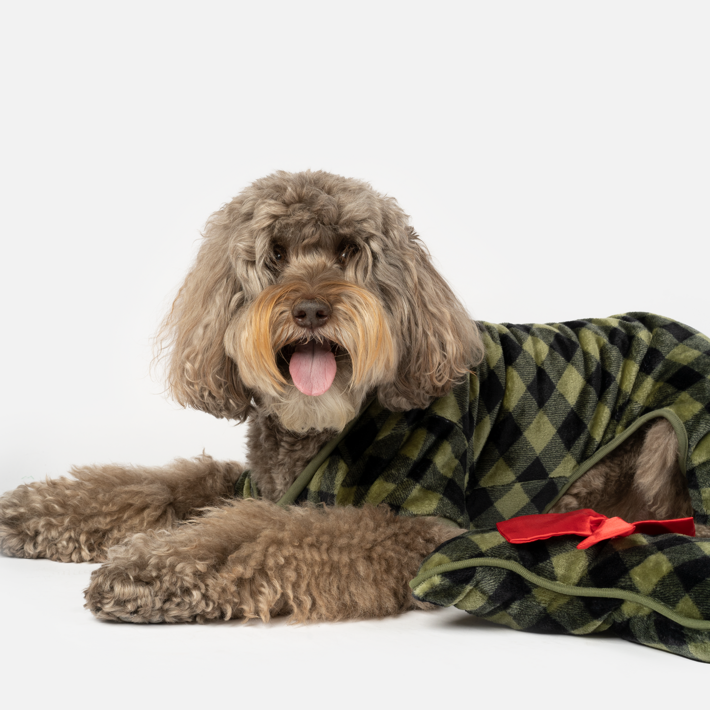 Ensemble pyjama et bas pour chien elfe - Plaid vert